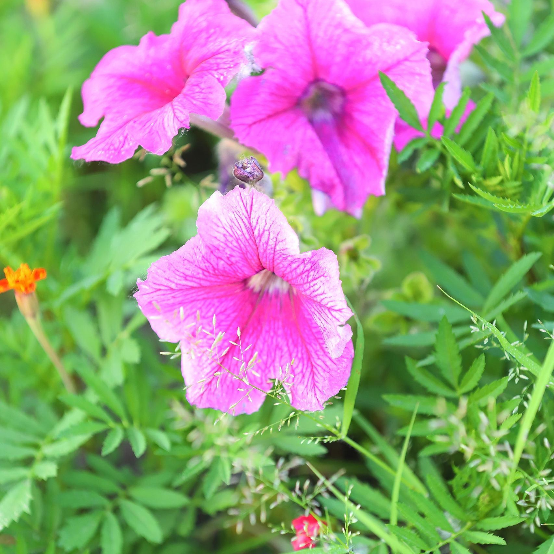 Отзывы. Фотограф Запорожье Лана Рудай