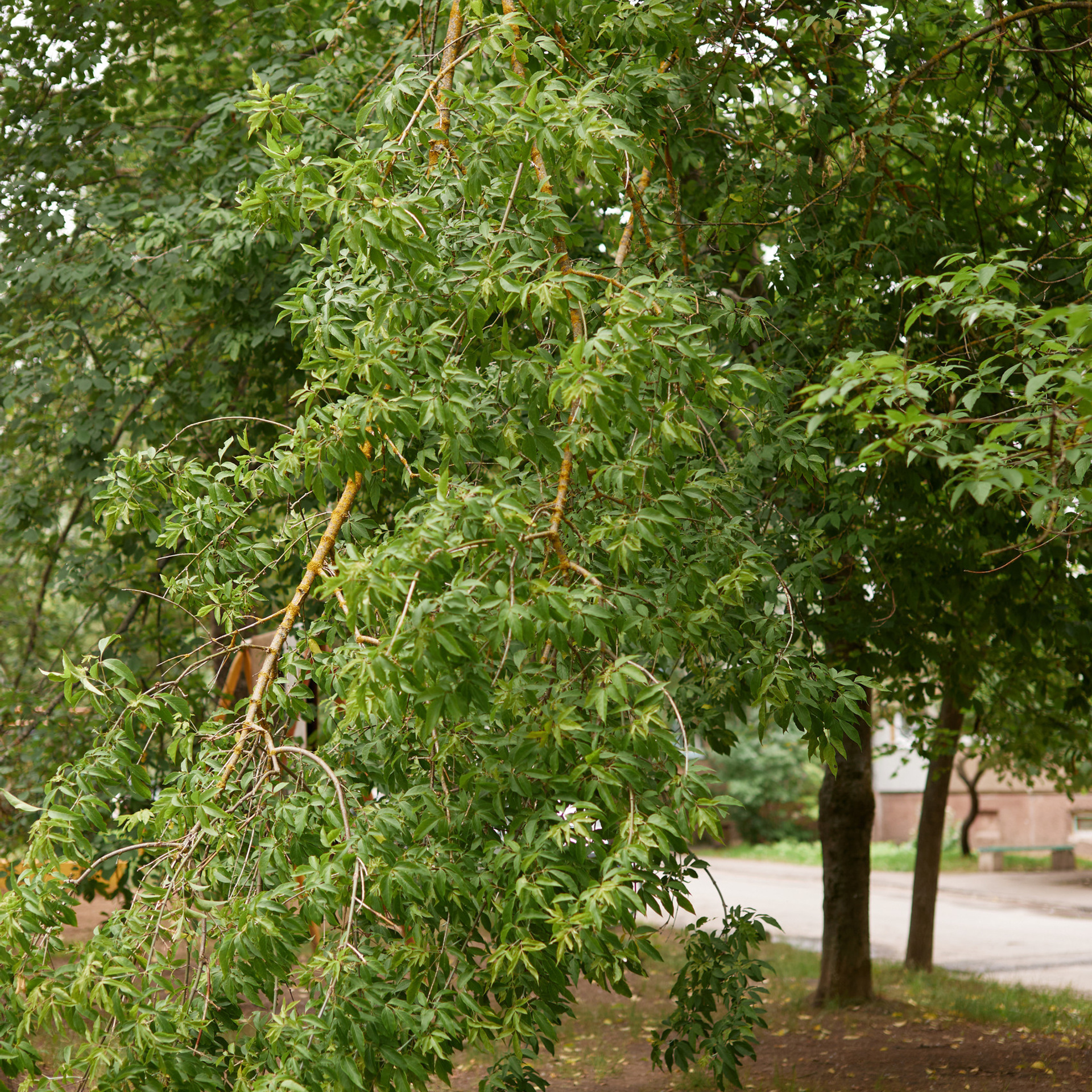 Reviews. Fashion and portrait photographer Inga Makeyeva