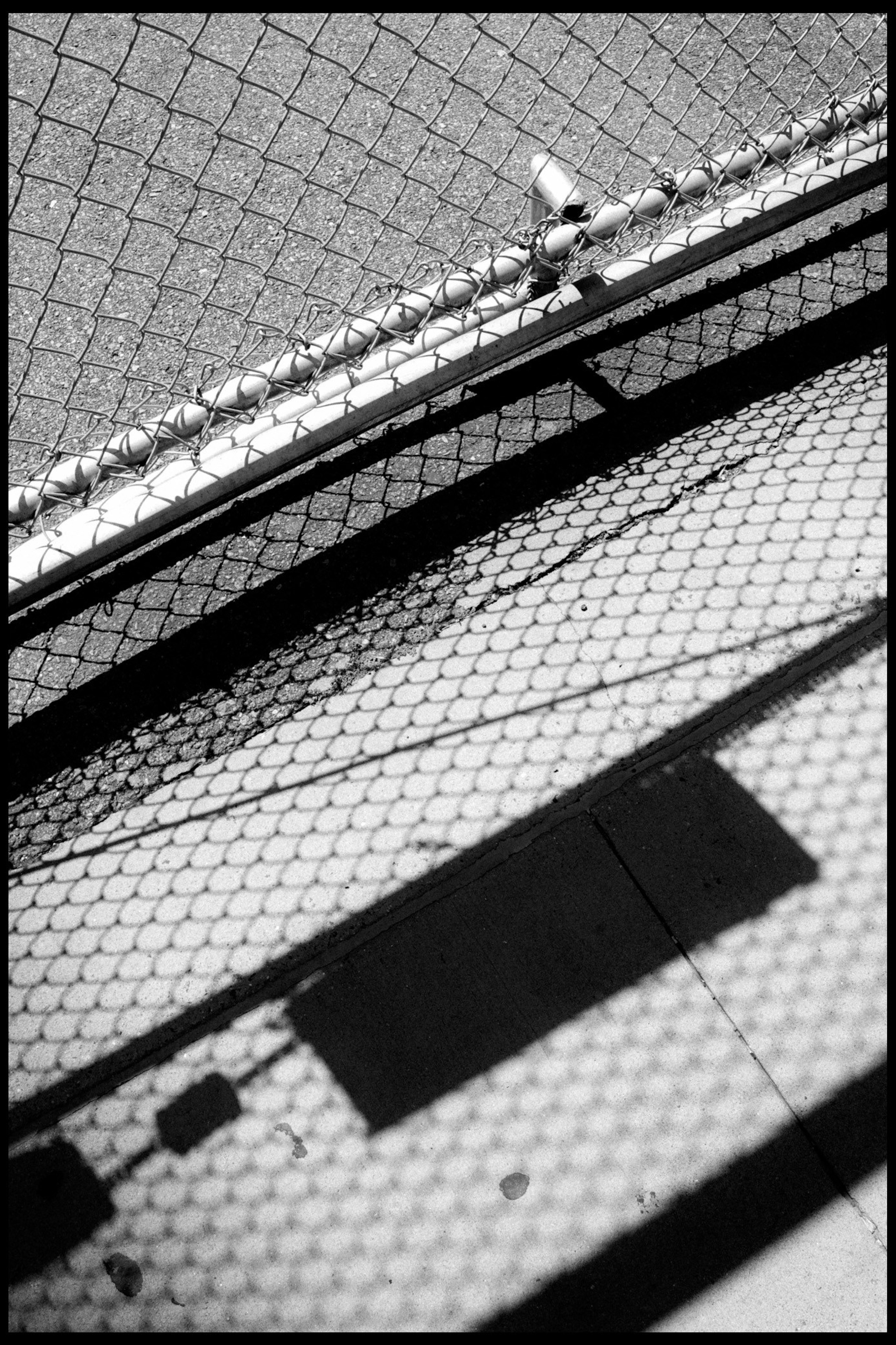 B&nbsp;& W&nbsp;+ Color