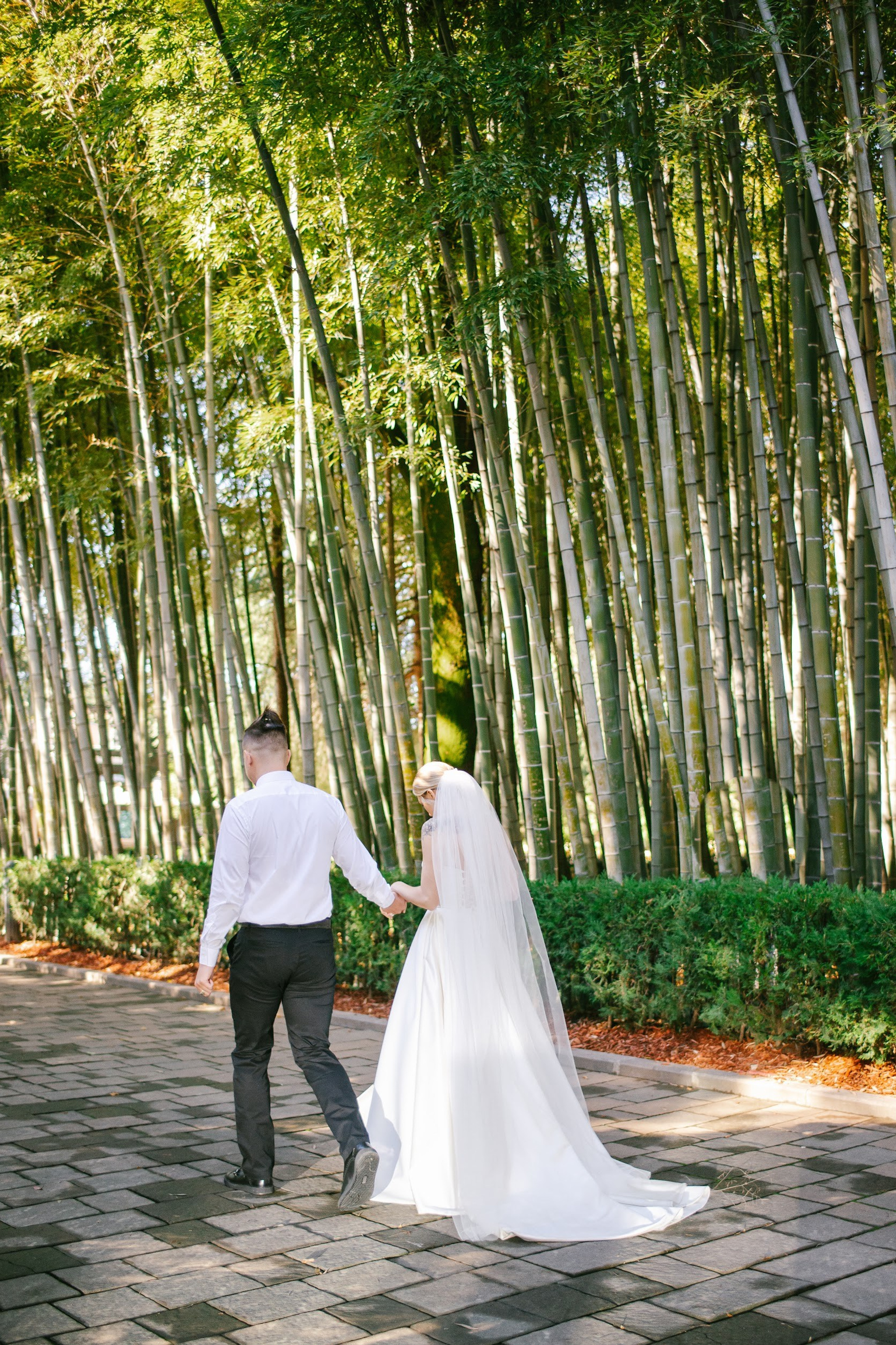 Wedding in Batumi for foreigners — Papers in 9 hours, Ceremony and Photographer. Арт Ивент Студио — Самое рейтинговое свадебное агентство в Грузии