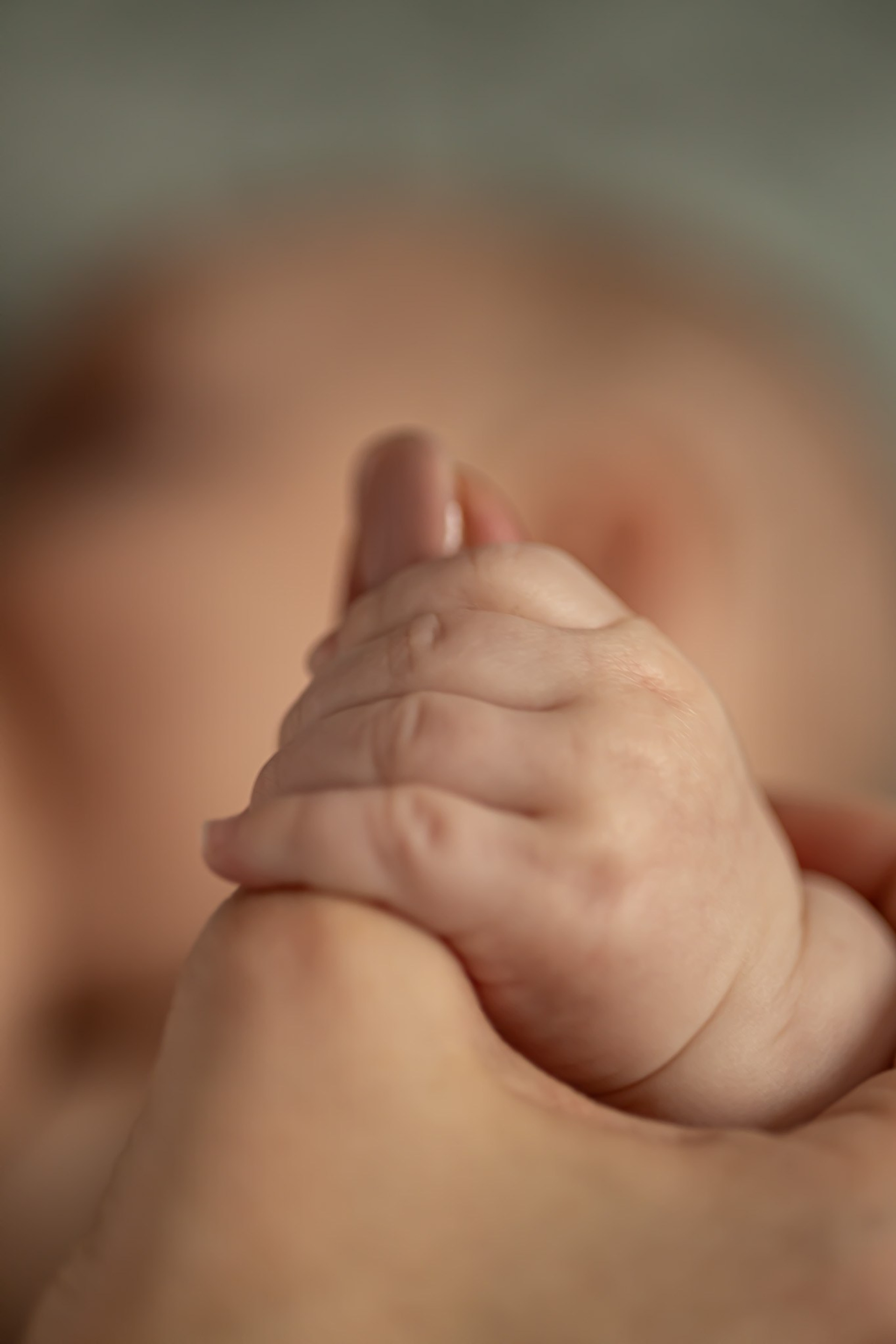 Newborn