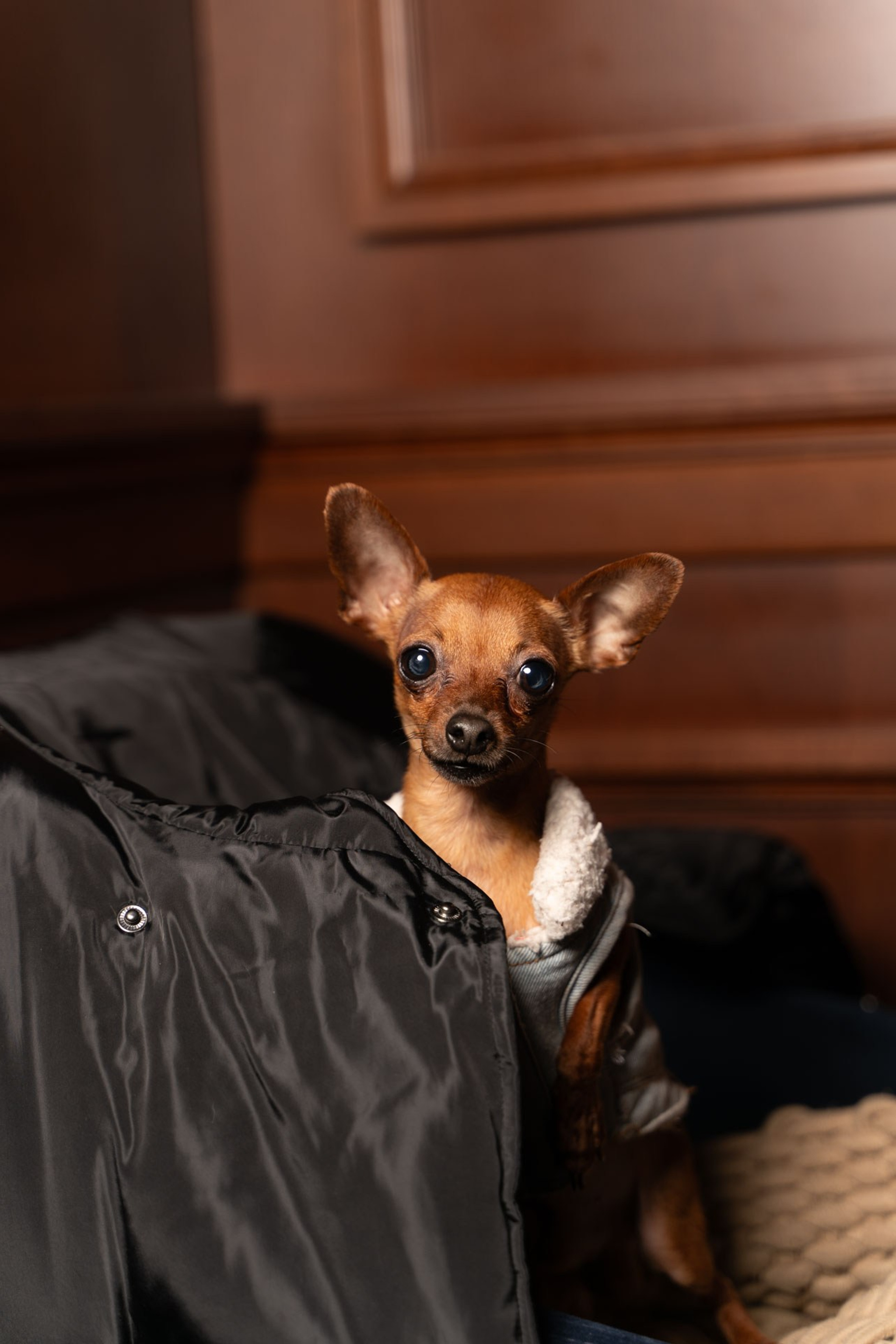 Womens weekend. Kovalski Production