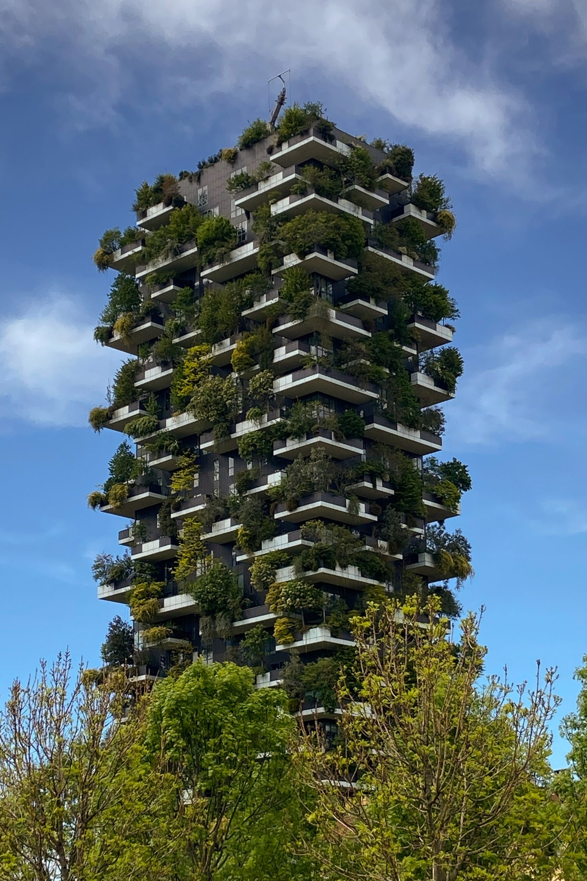 Bosco Verticale seen from Biblioteca degli Alberi park