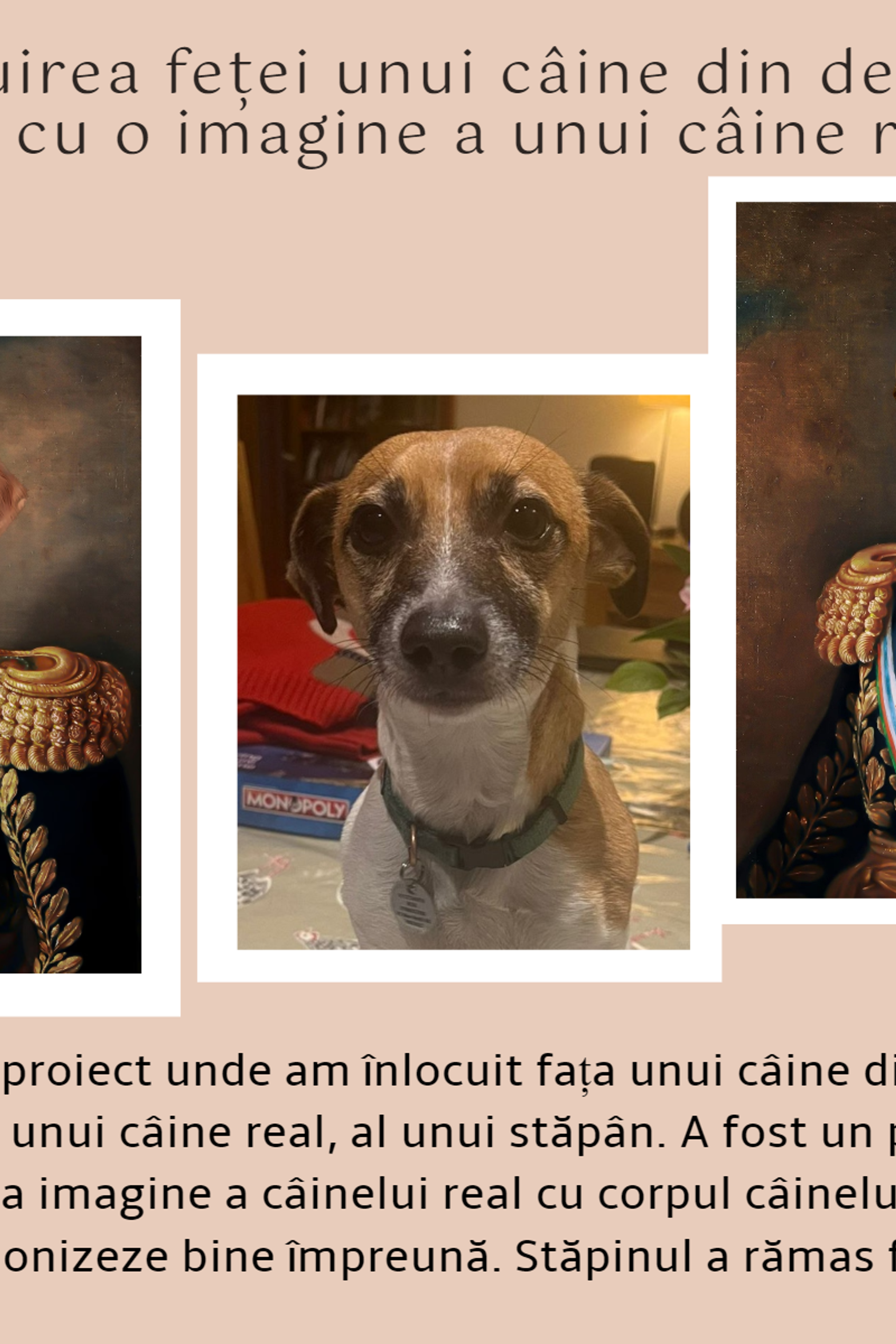 Concurs Fotomax 2023. Fotograf de familie Vitalie Budoianu