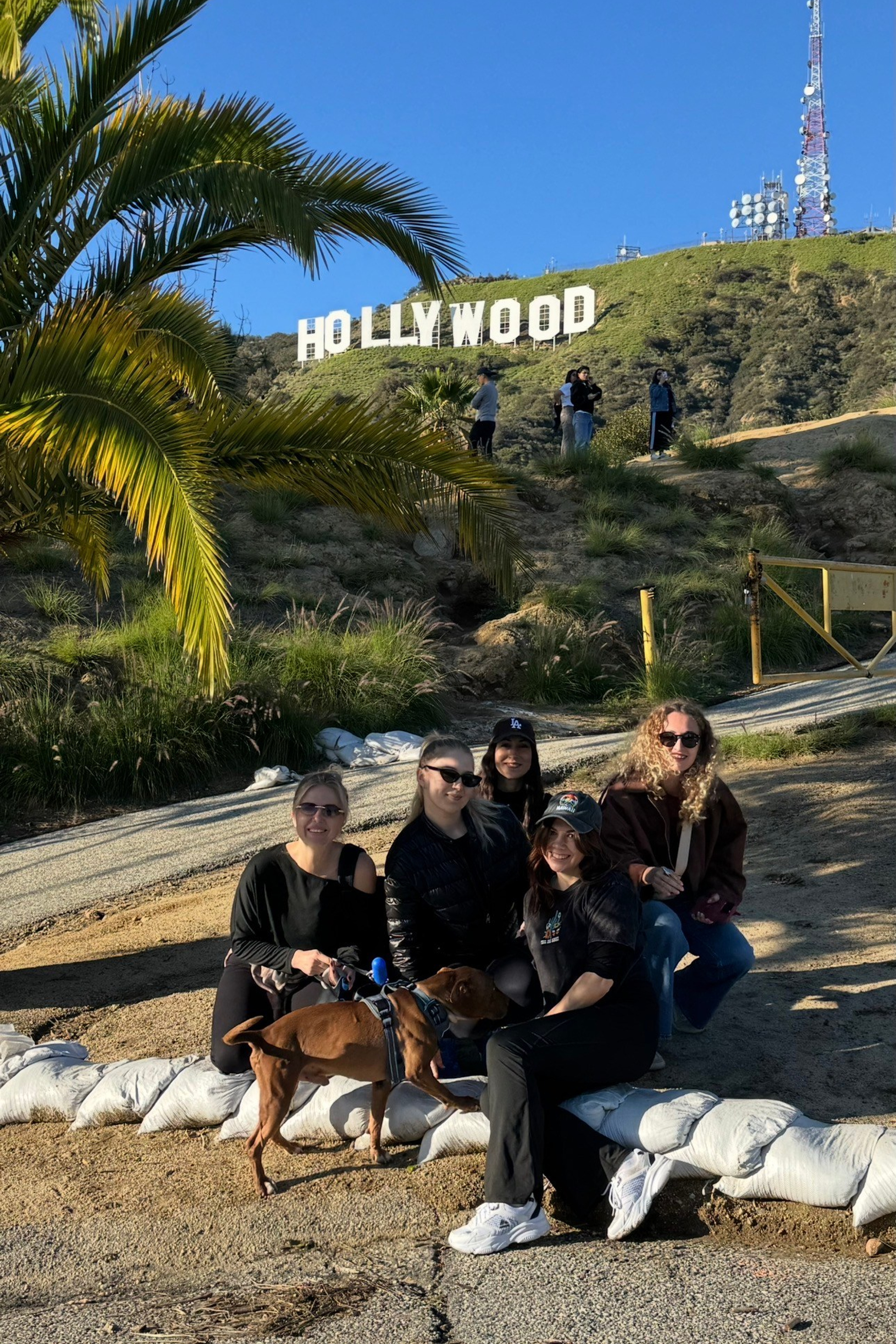 About you club | Женский клуб | Встречи | Ретриты 📍 Лос Анджелес