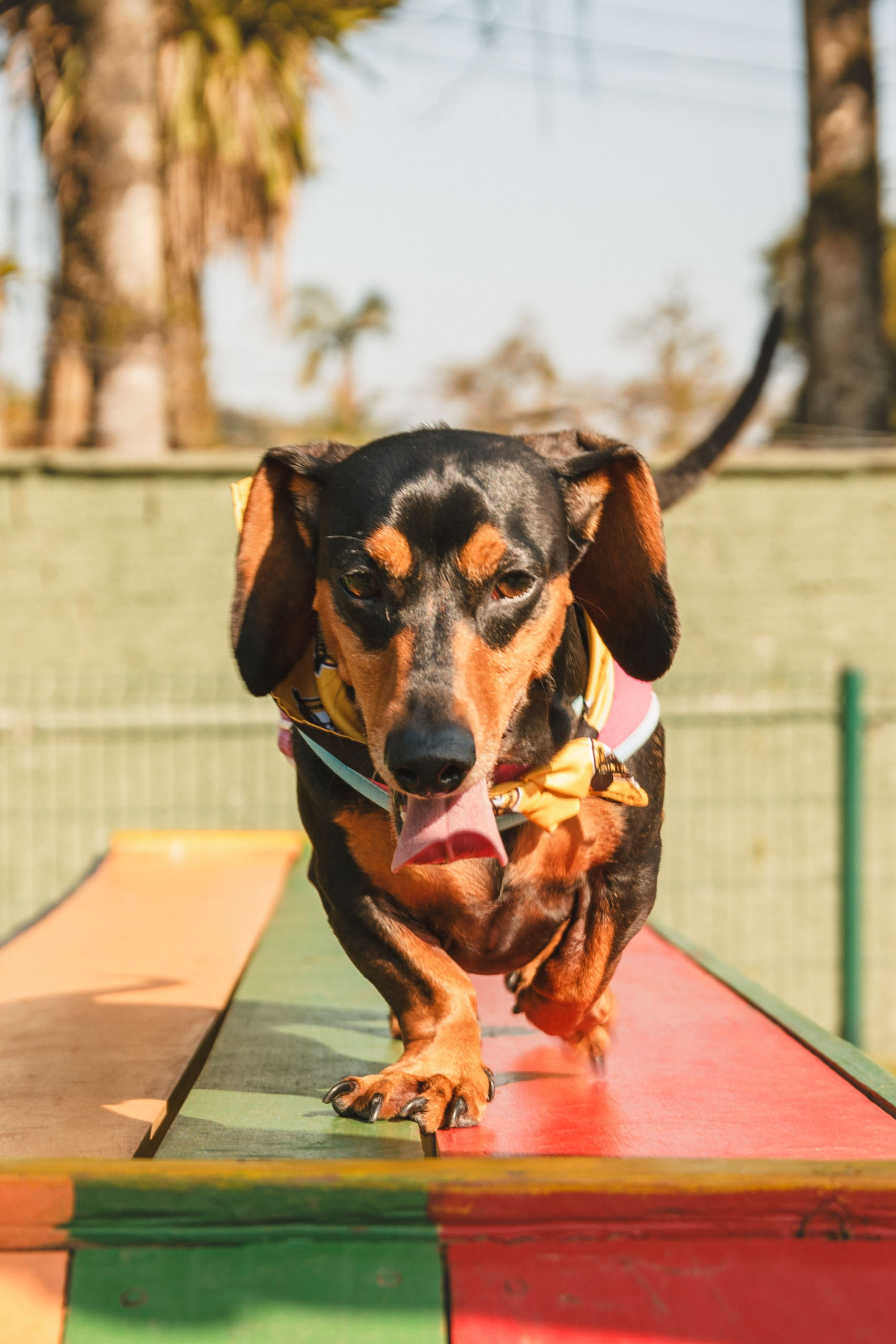 Fotógrafo de histórias reais em Joinville Santa Catarina. Marcus Monteiro Fotografia