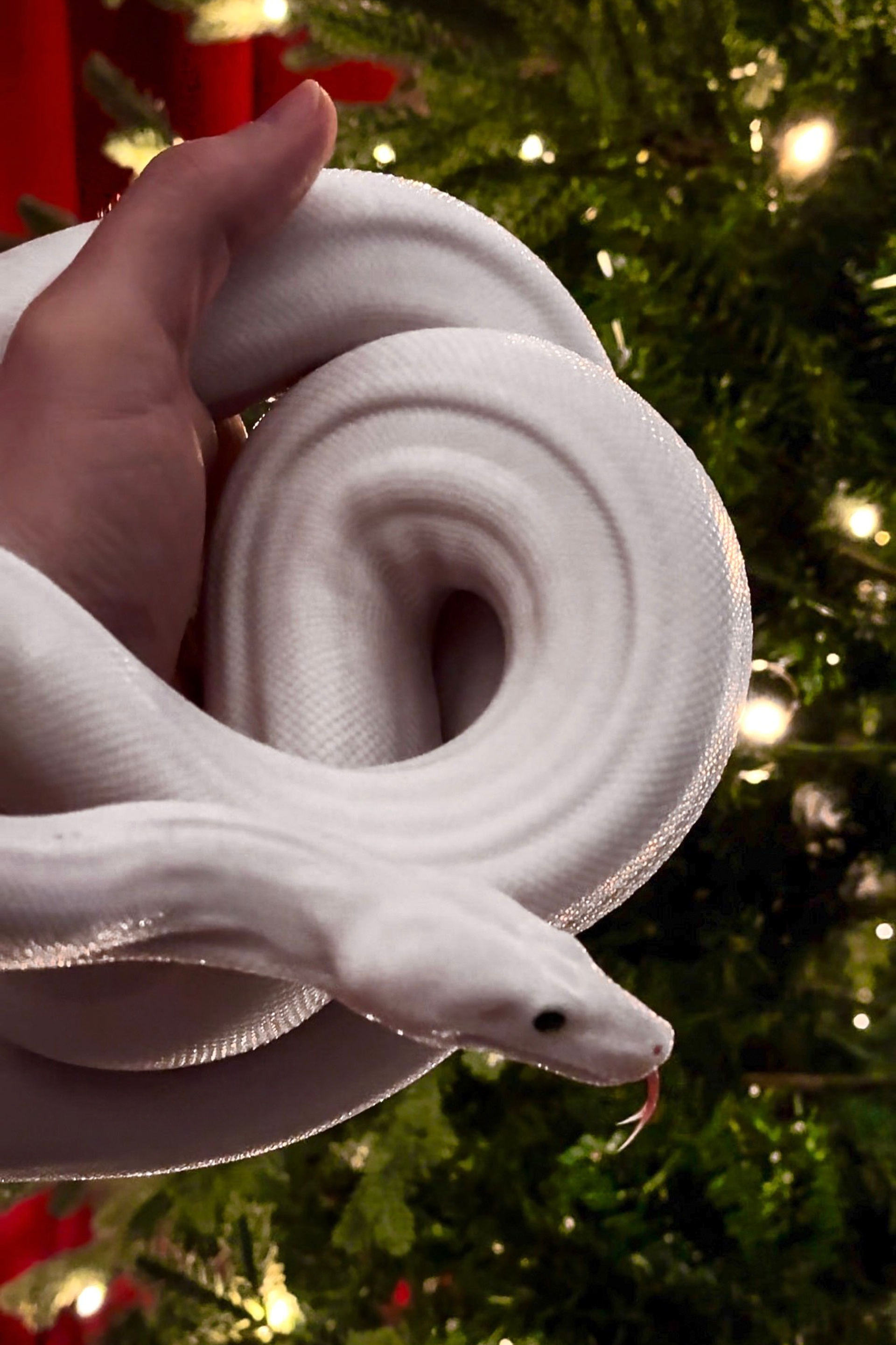 Рома Волков 🐍 Змеи в Варшаве