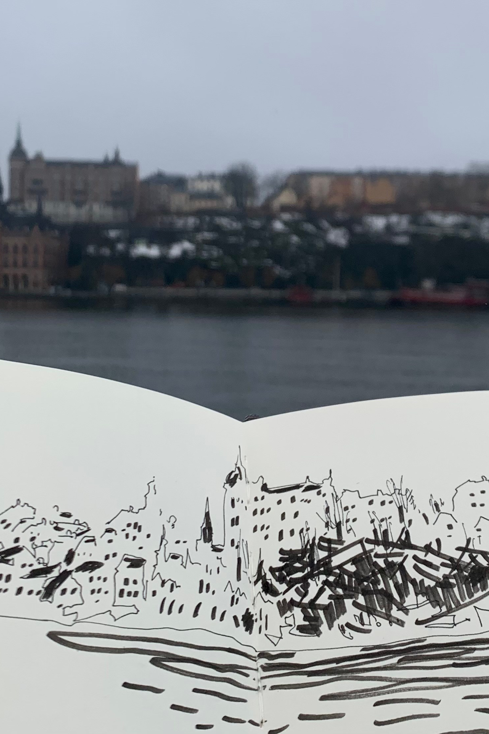 Winter in Stockholm. Nadia Kuprina. Artist