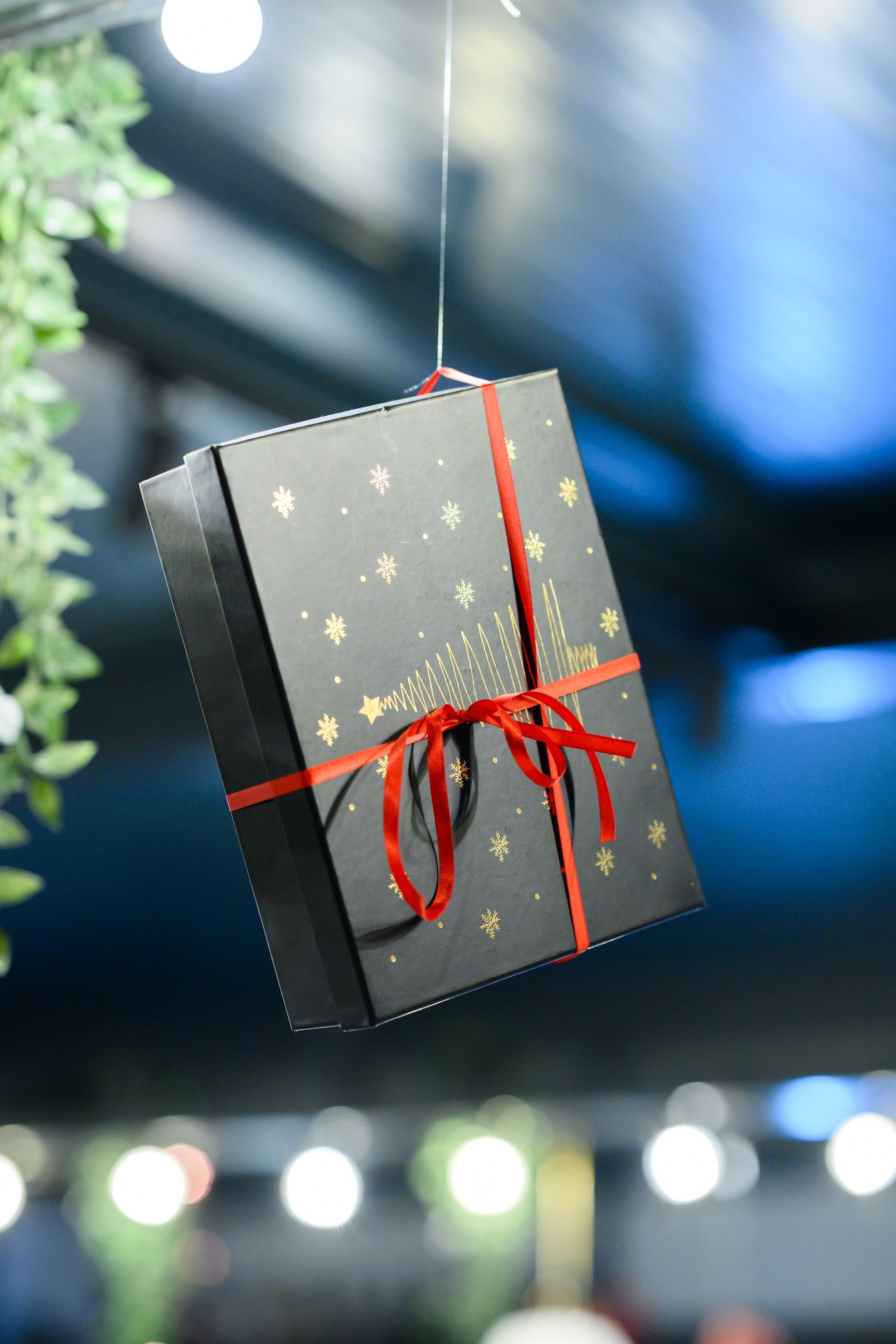 I. BCarp Productions