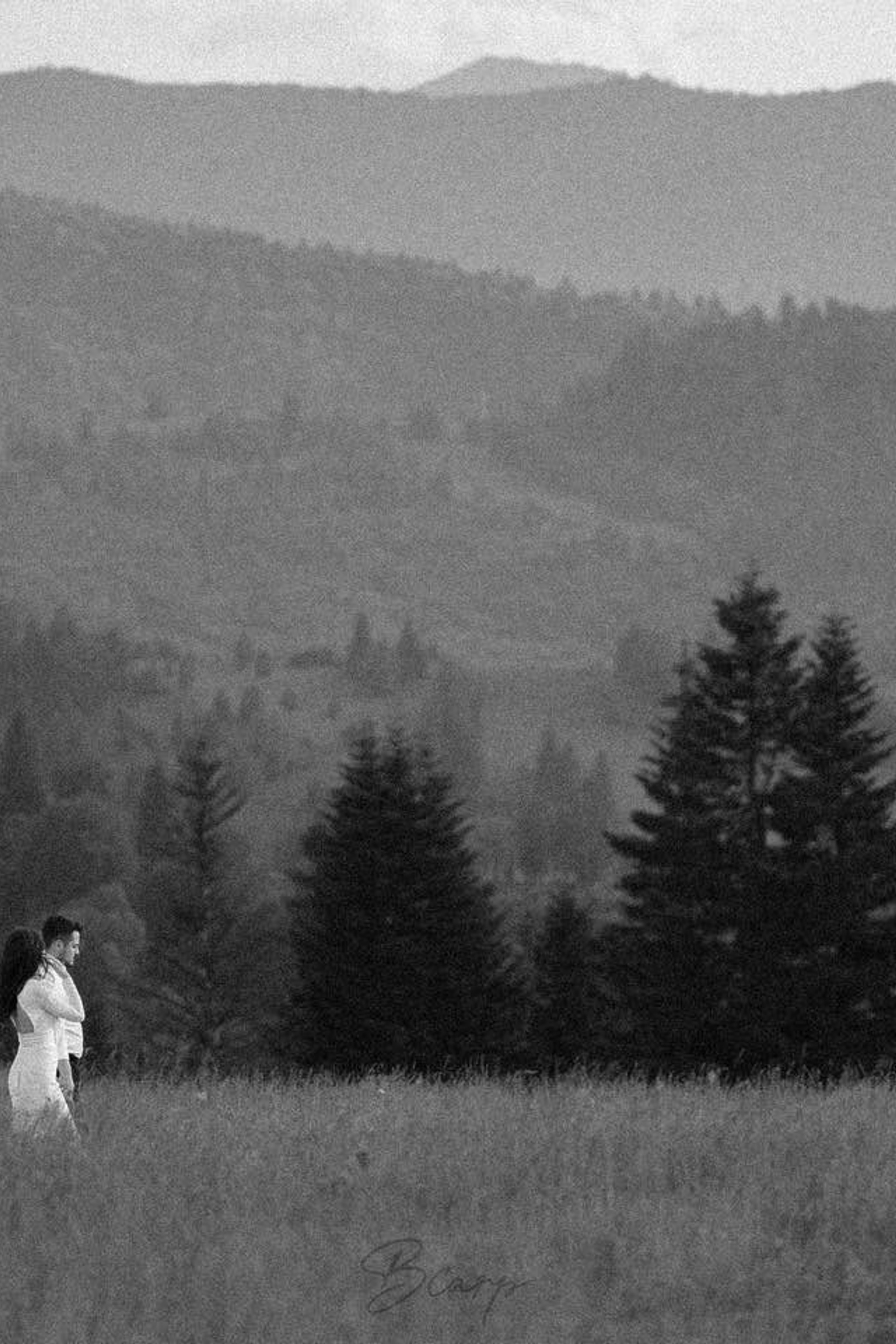 Trash The Dress. BCarp Productions