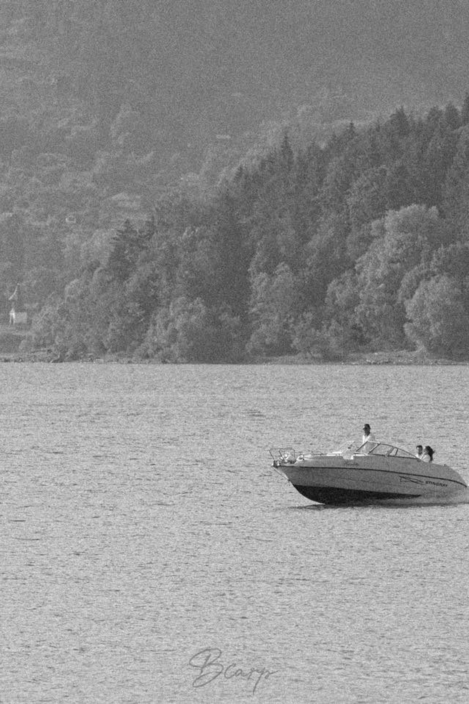 Trash The Dress. BCarp Productions