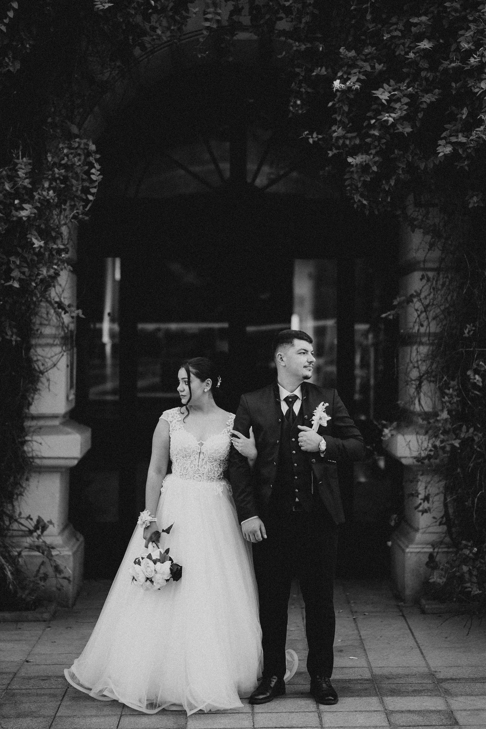 Portofoliu. Catalin Brinza