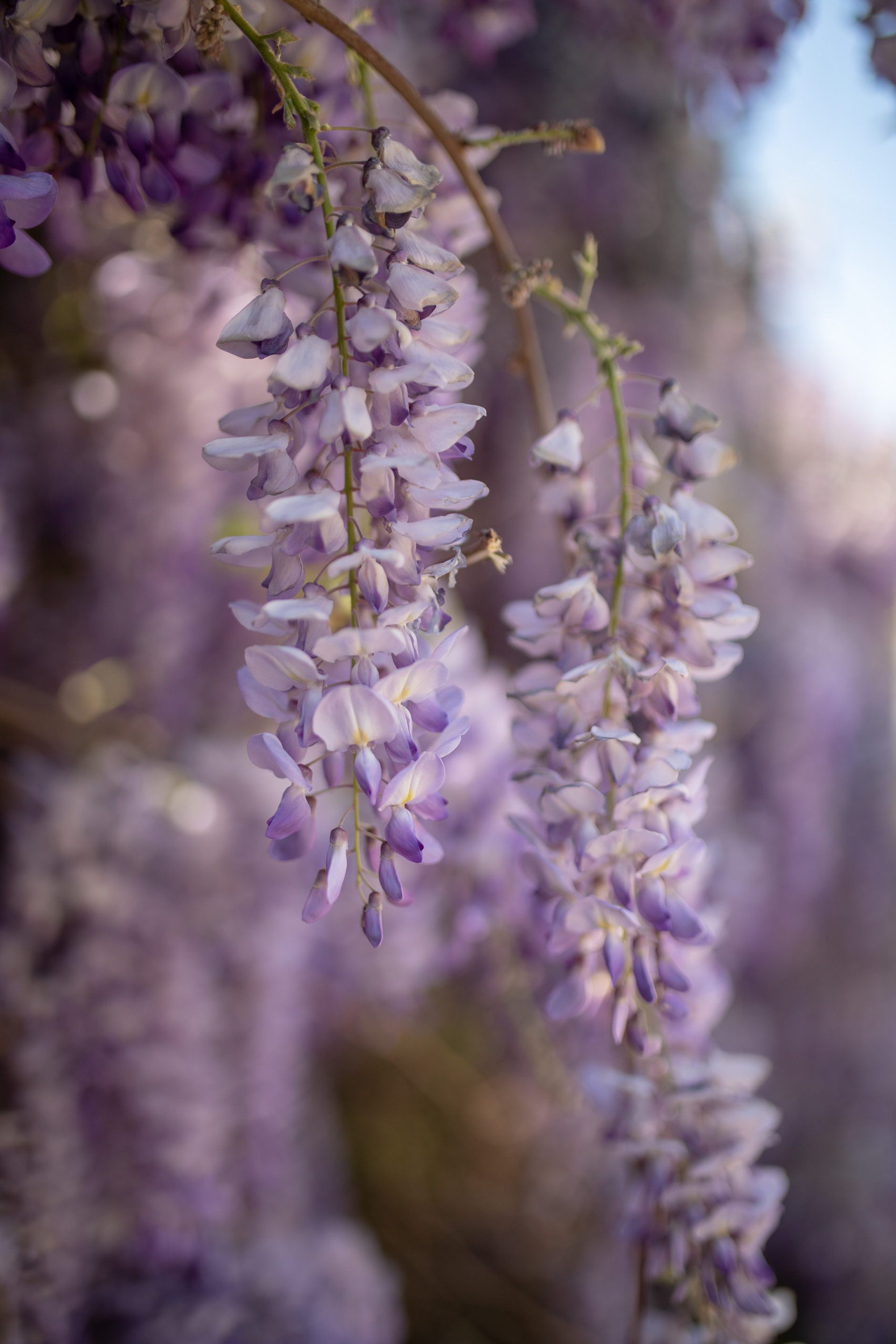 Отзывы. Фотограф в Турции | Алания, Сиде, Белек, Анталия, Кемер)