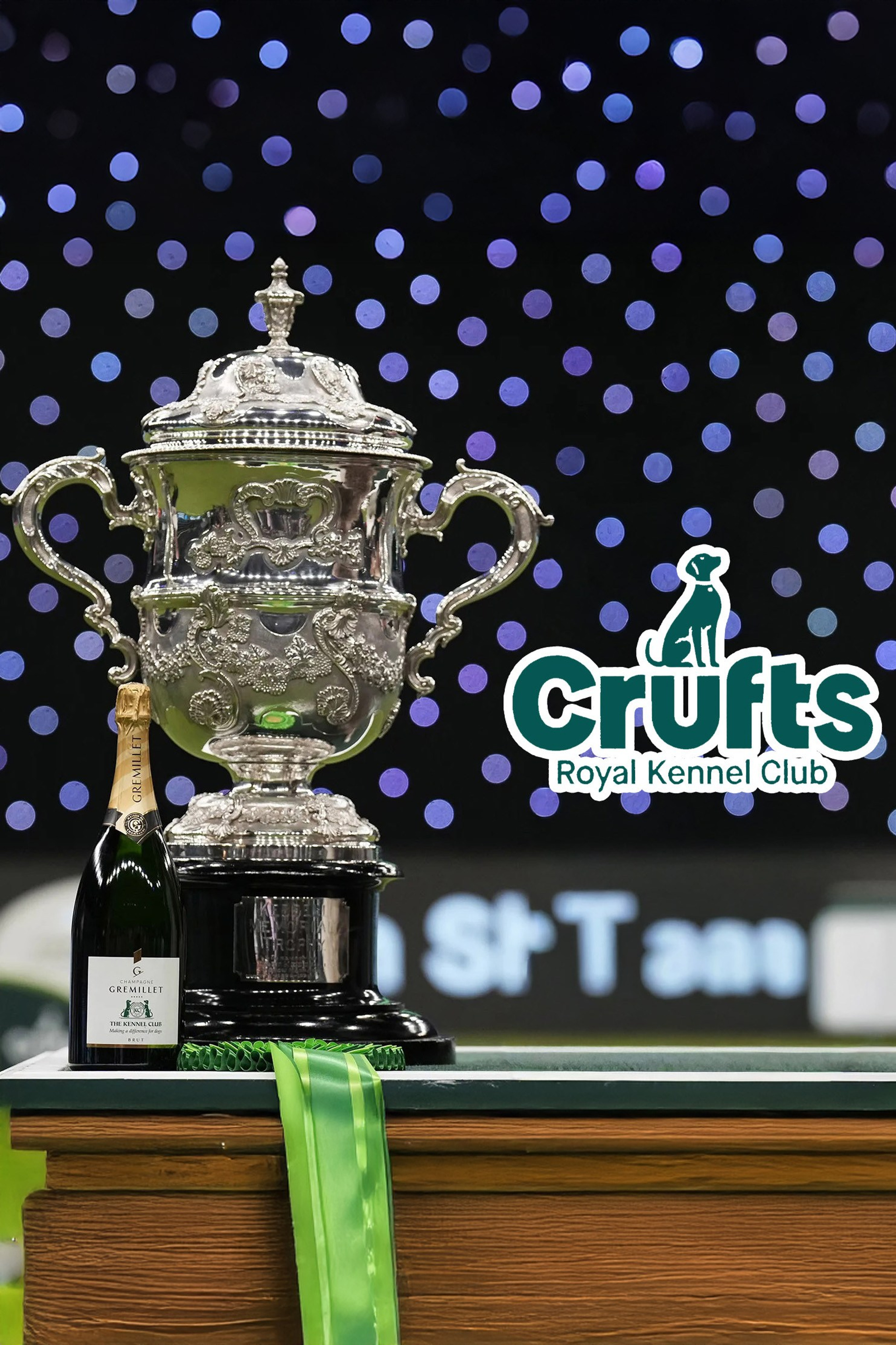 Schedule. Yurii Orlyk Photography