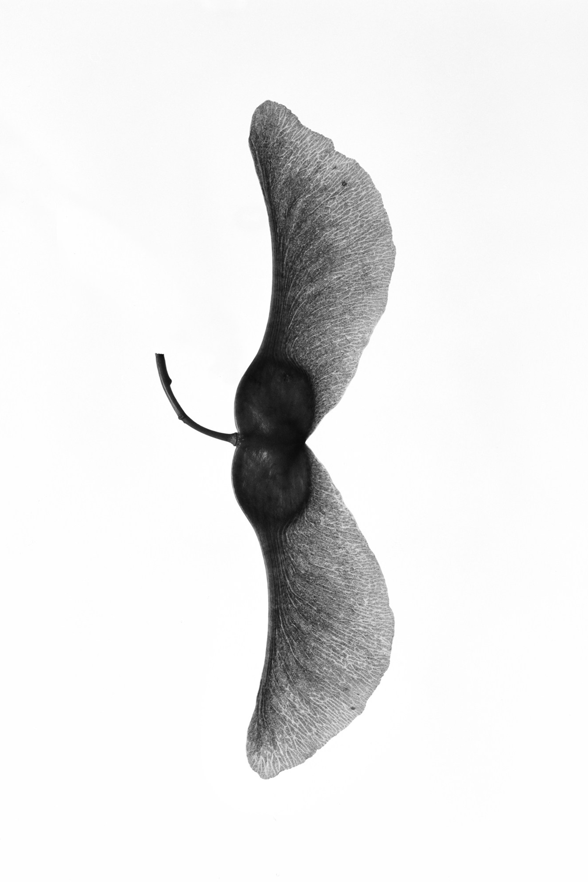 Objectivity. Igor Mokhovyk — Portrait Photographer in Germany (Berlin and Worldwide