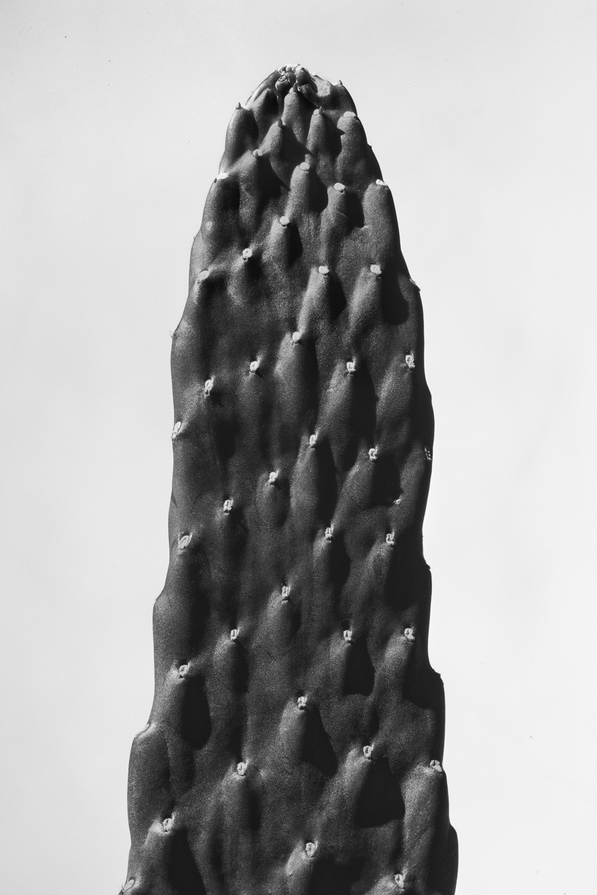 Objectivity is a black-and-white fine art photography series by Igor Mokhovyk, photographed on 4×5 large-format film. Explore the complete series.