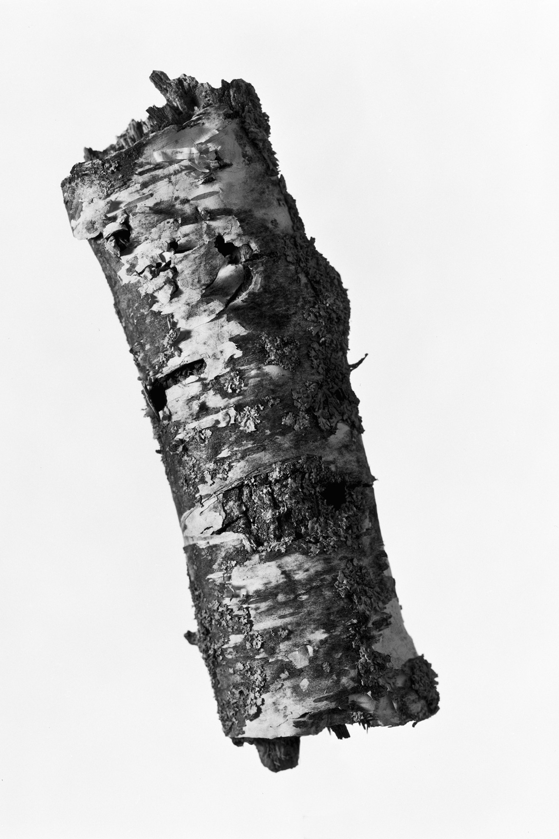 Objectivity is a black-and-white fine art photography series by Igor Mokhovyk, photographed on 4×5 large-format film. Explore the complete series.