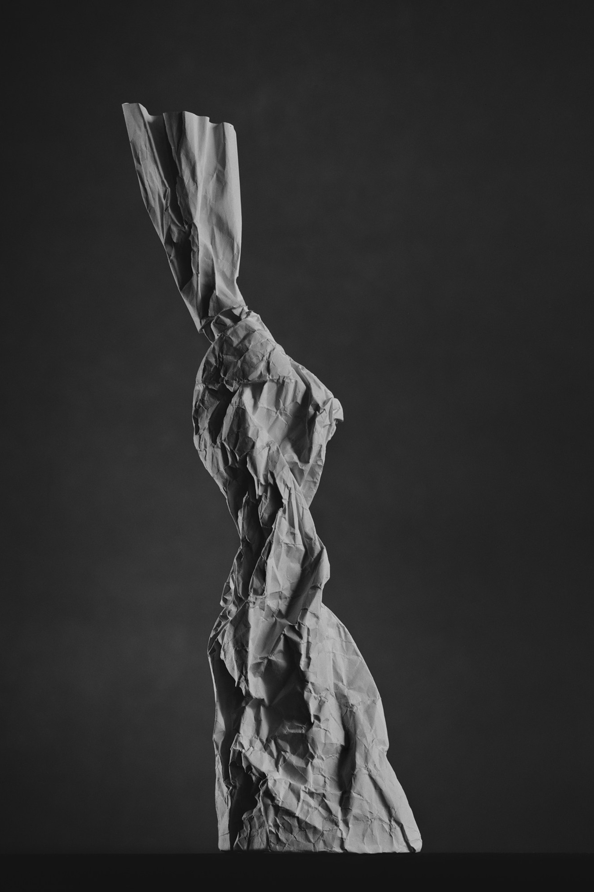 Dream of Safran. Igor Mokhovyk — Portrait Photographer in Germany (Berlin and Worldwide