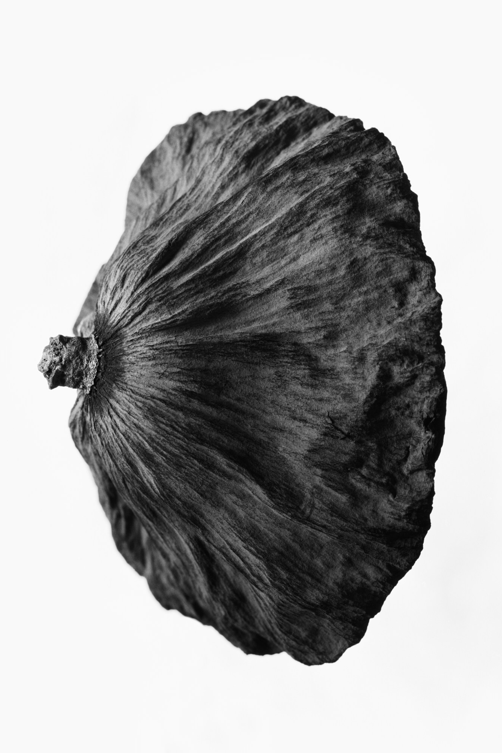 Objectivity. Igor Mokhovyk — Portrait Photographer in Germany (Berlin and Worldwide