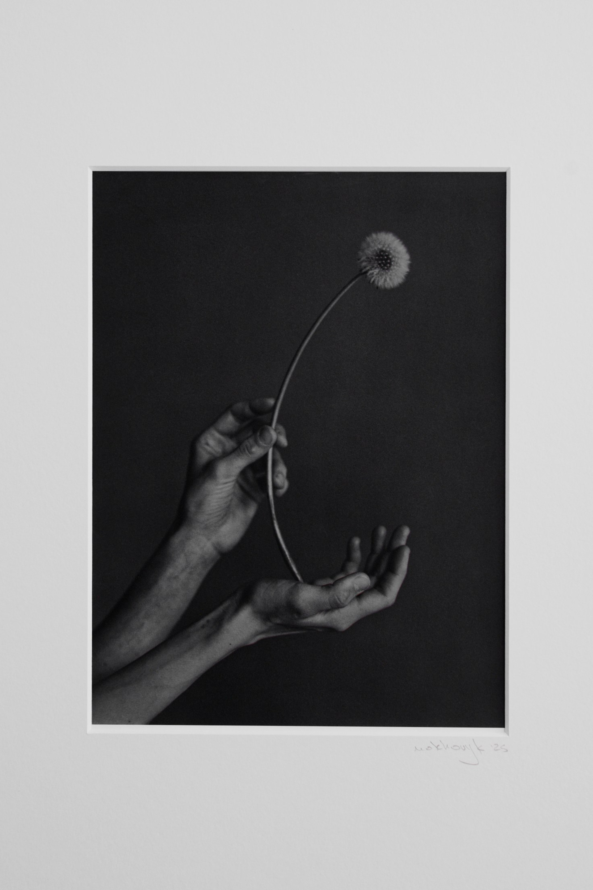 Form of Will. Igor Mokhovyk — Portrait Photographer in Germany (Berlin and Worldwide