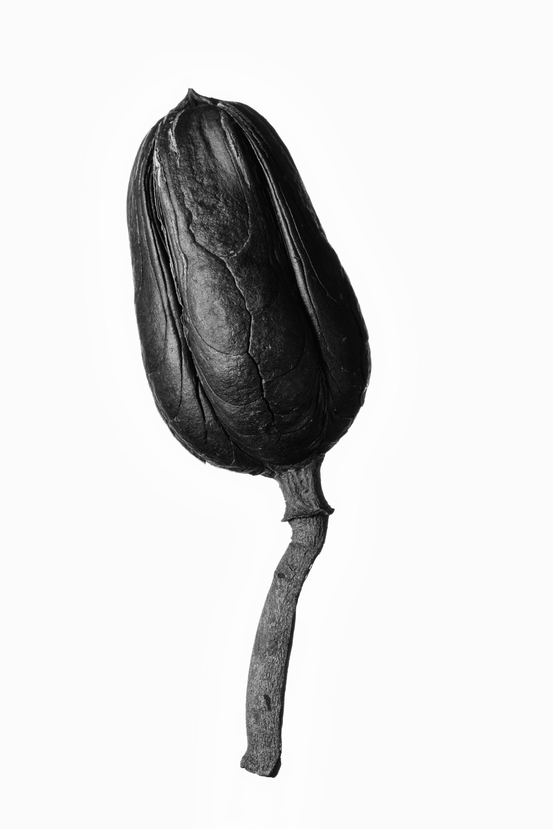 Objectivity. Igor Mokhovyk — Portrait Photographer in Germany (Berlin and Worldwide