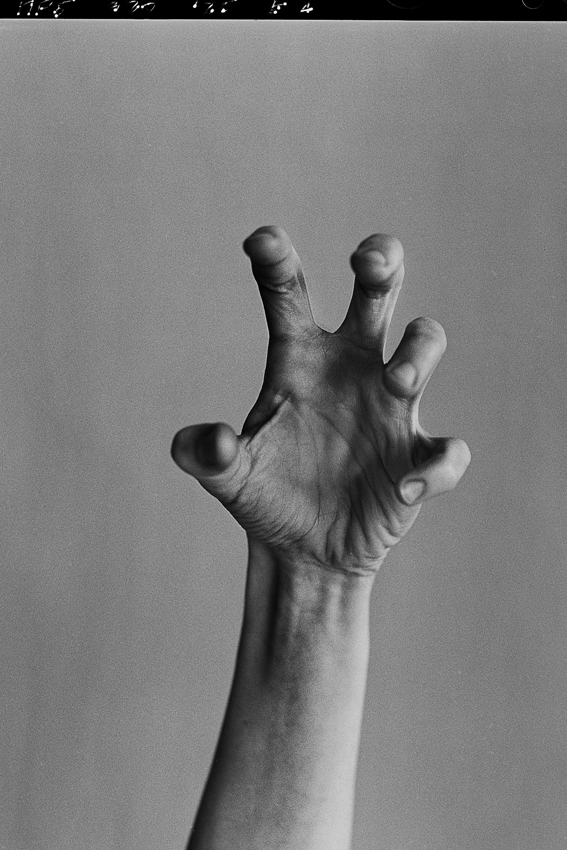 Hands. Igor Mokhovyk — Portrait Photographer in Germany (Berlin and Worldwide