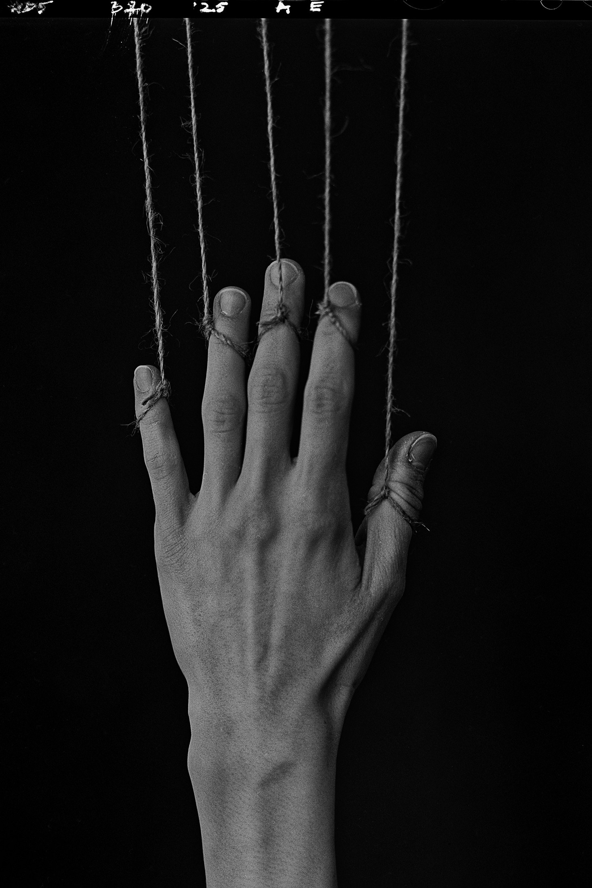 Hands. Igor Mokhovyk — Portrait Photographer in Germany (Berlin and Worldwide