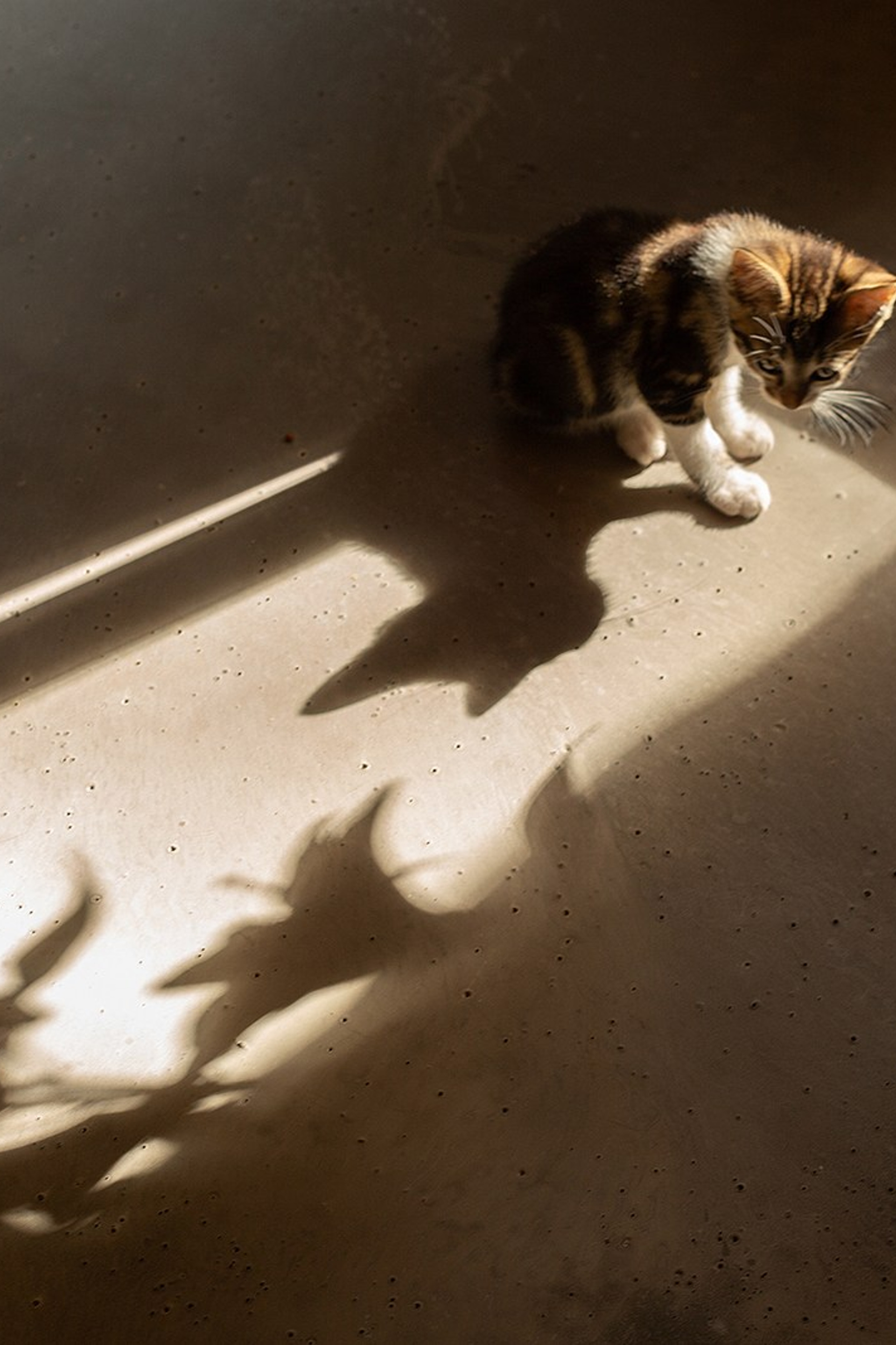 YOGOCIETY. Екатерина Матьё — профессиональный фотограф из города Осер Франция