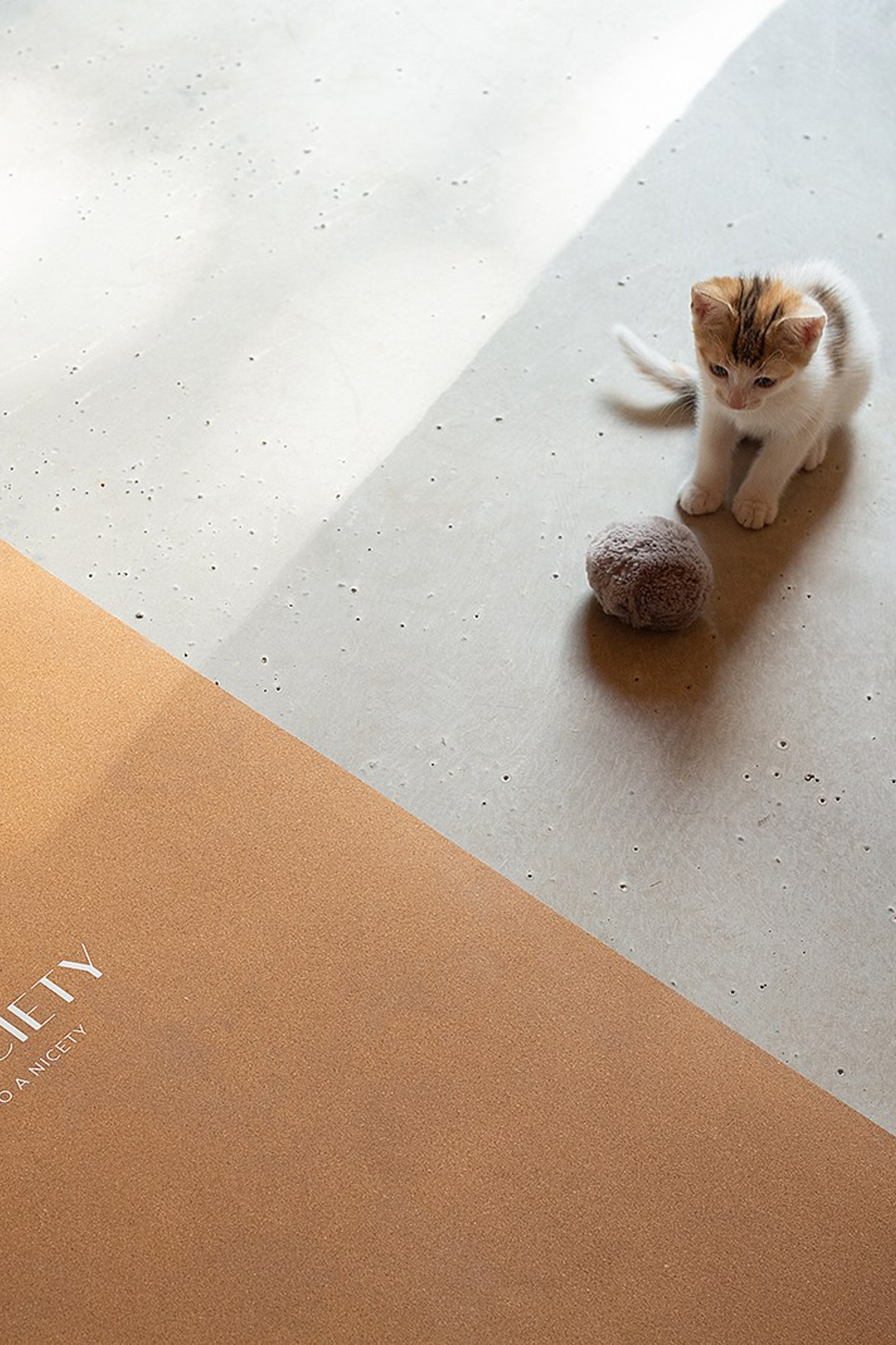 YOGOCIETY. Екатерина Матьё — профессиональный фотограф из города Осер Франция