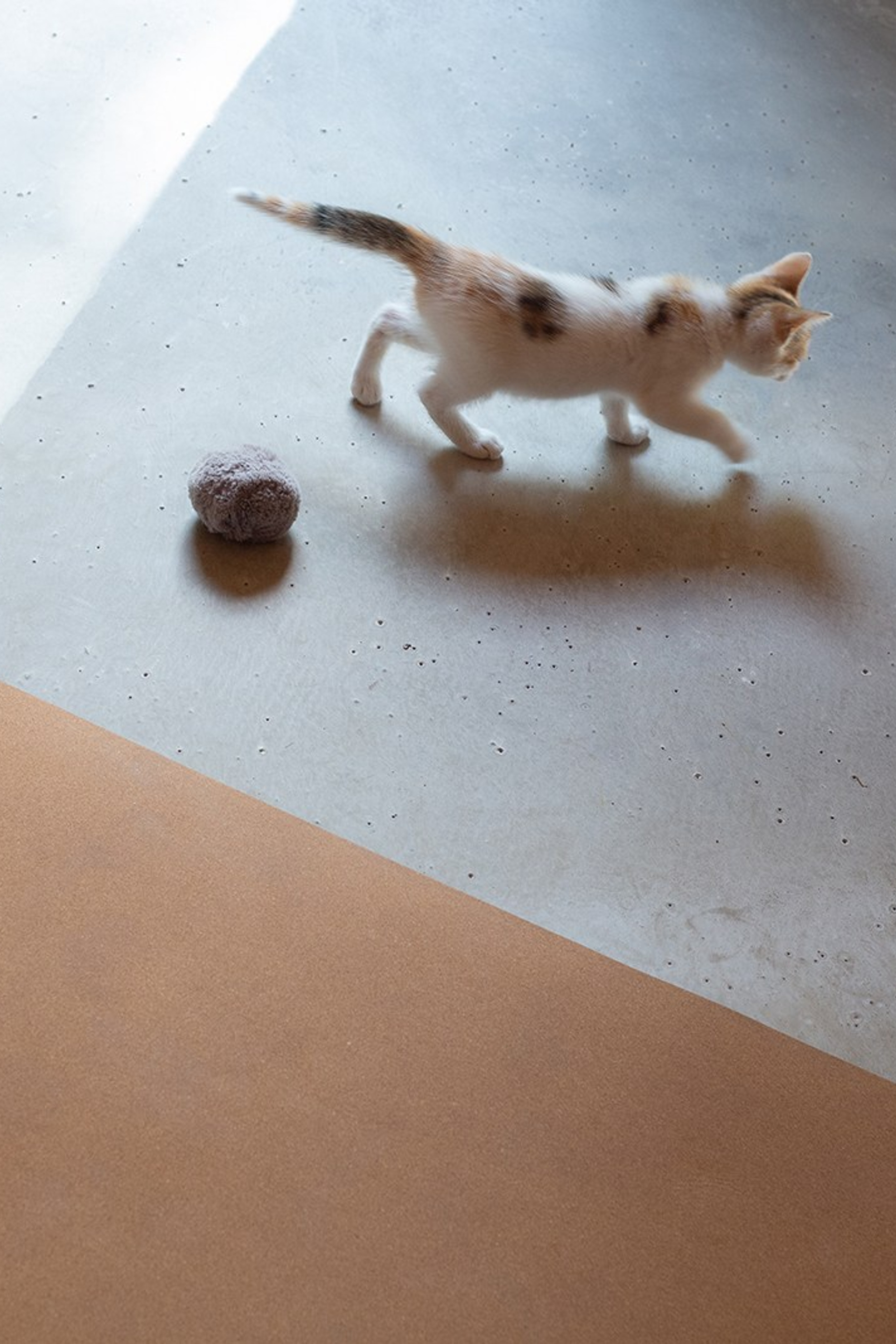 YOGOCIETY. Екатерина Матьё — профессиональный фотограф из города Осер Франция