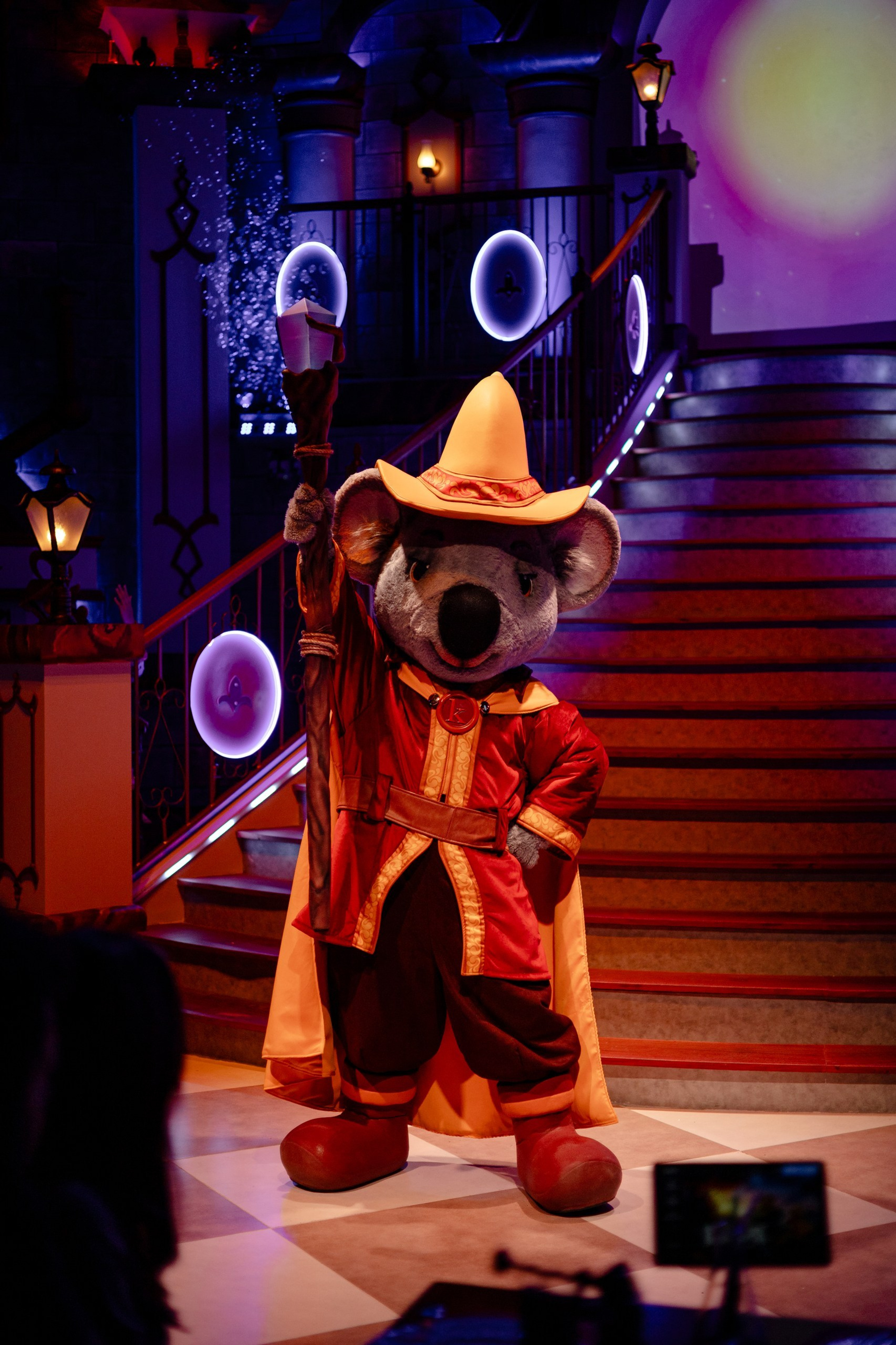 Comemoração de aniversário em uma vinícola no pôr do sol — Ivana Oleskovicz