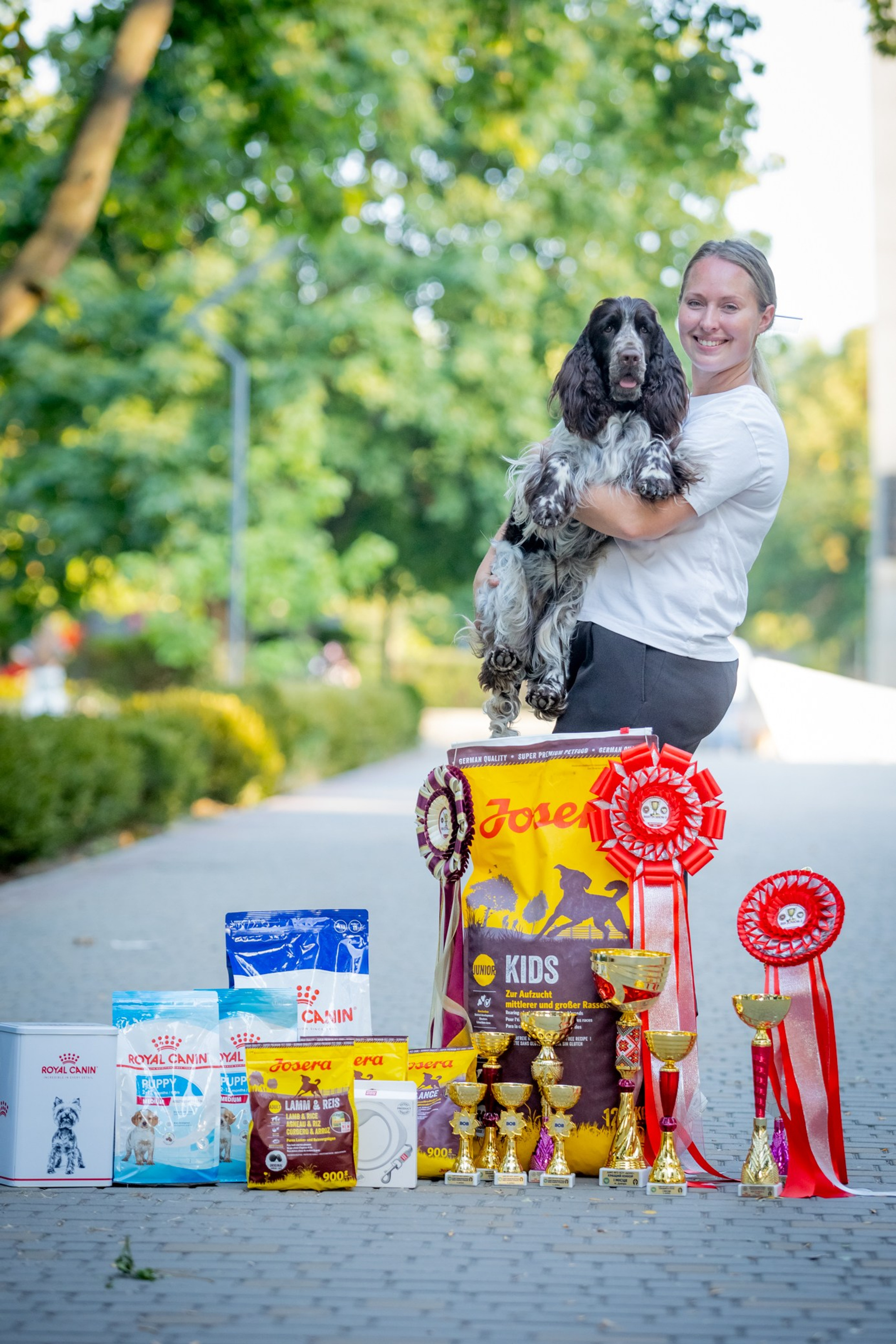 English Springer Spaniel show results WANDERLOVE JESSE JAMES. Website of the titled stud dog of the Springer Spaniel breed