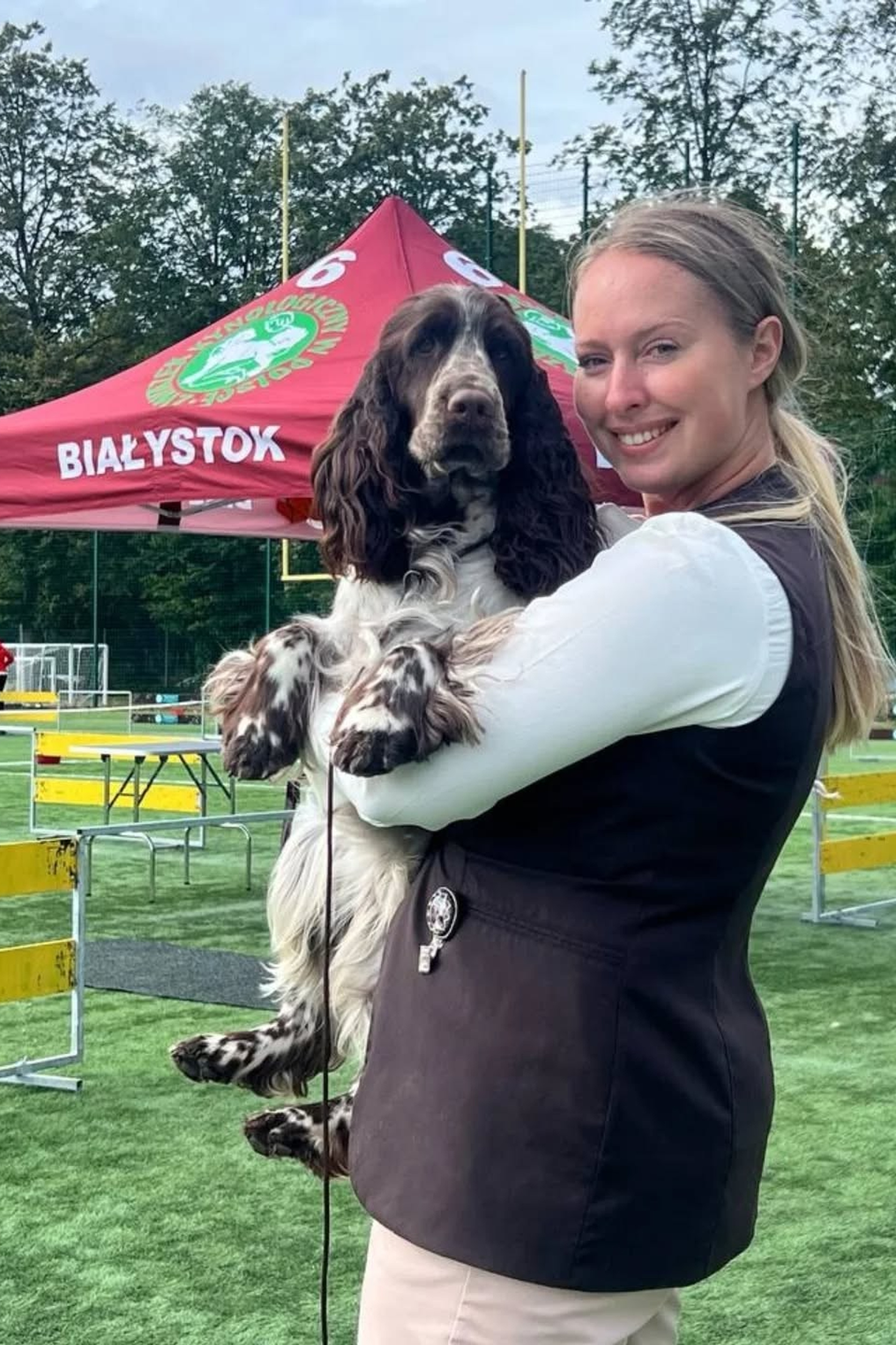 English Springer Spaniel show results WANDERLOVE JESSE JAMES. Website of the titled stud dog of the Springer Spaniel breed