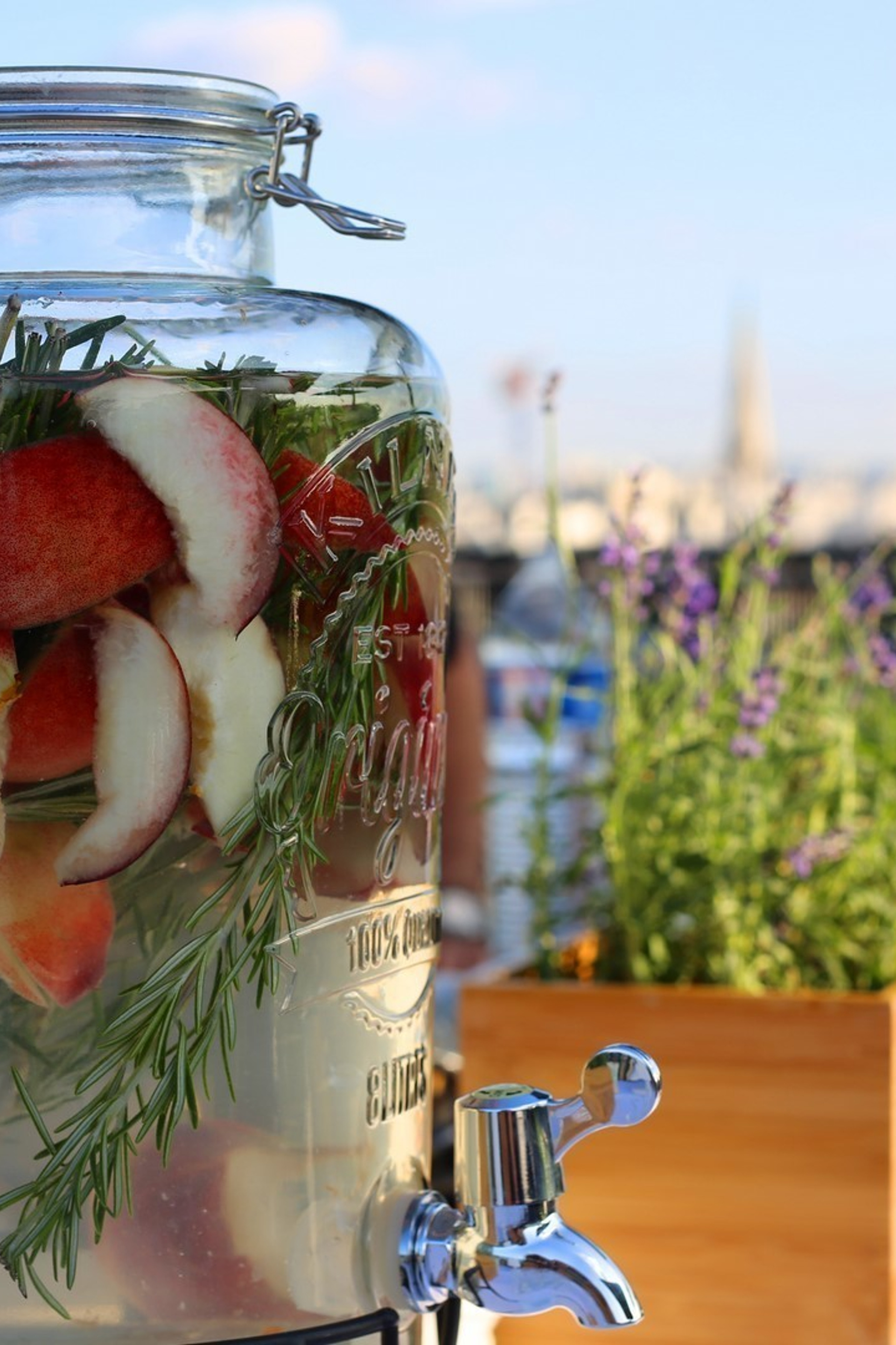 Sur les toits de Paris. Soirée.