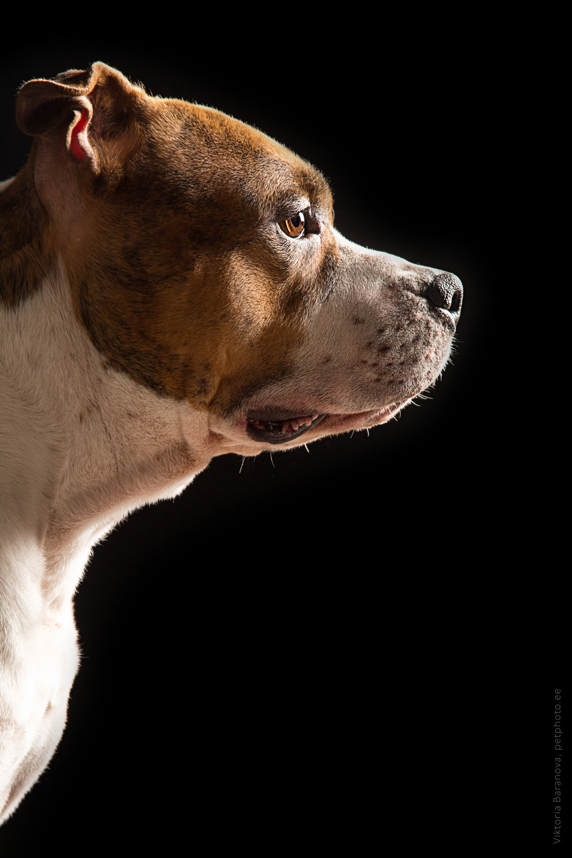 Marianna Kanysheva (3 фото)