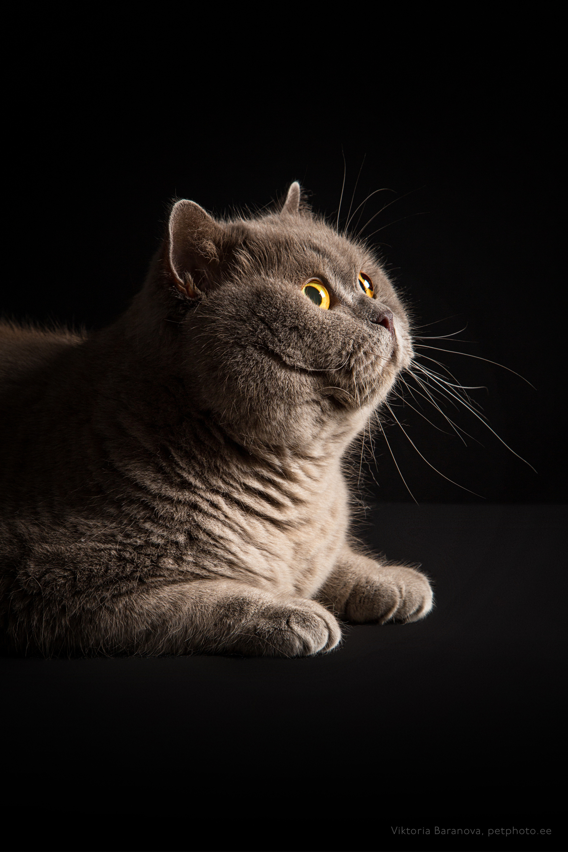 SigalN (11 фото)