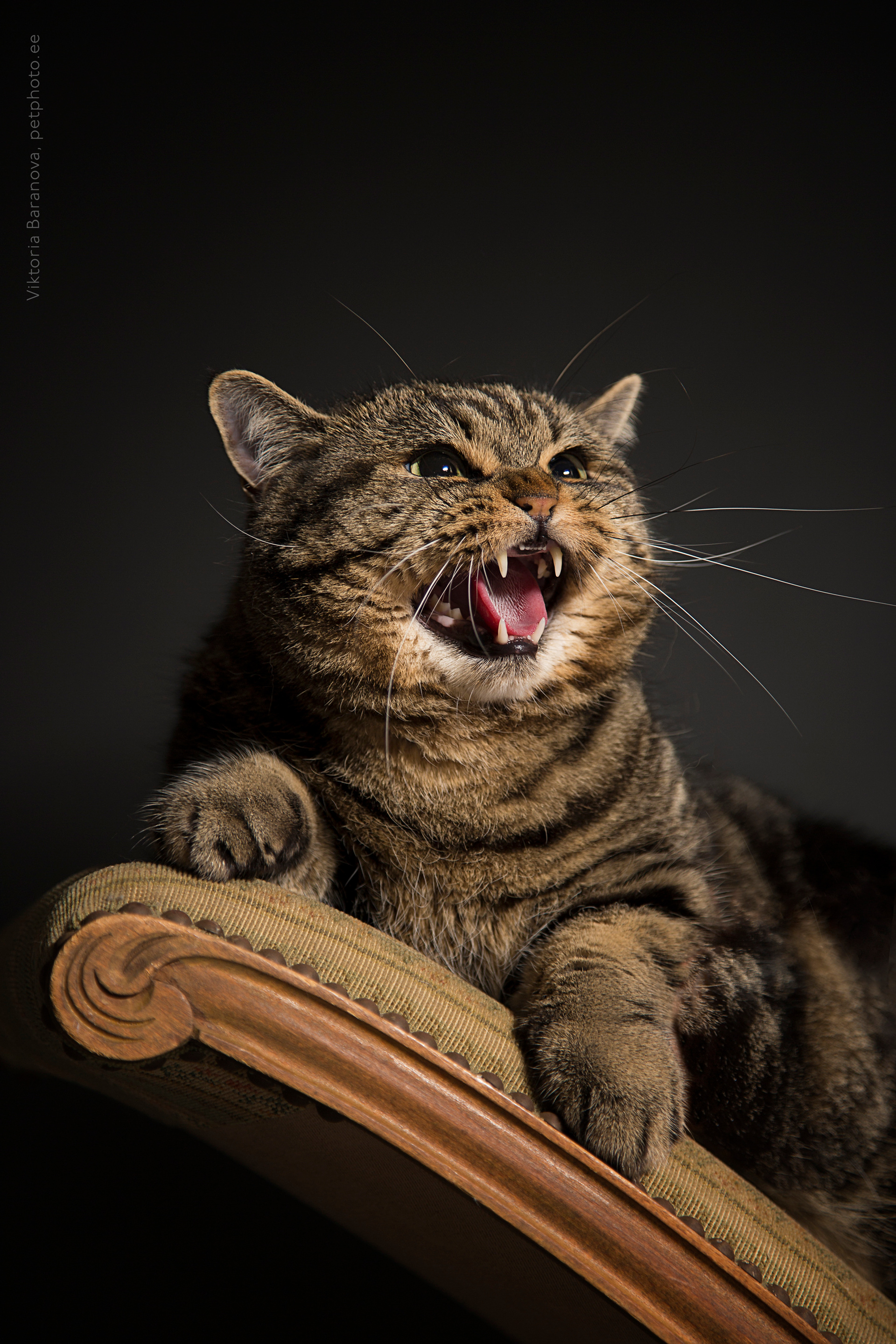 Nadezda Sarap (5 фото)