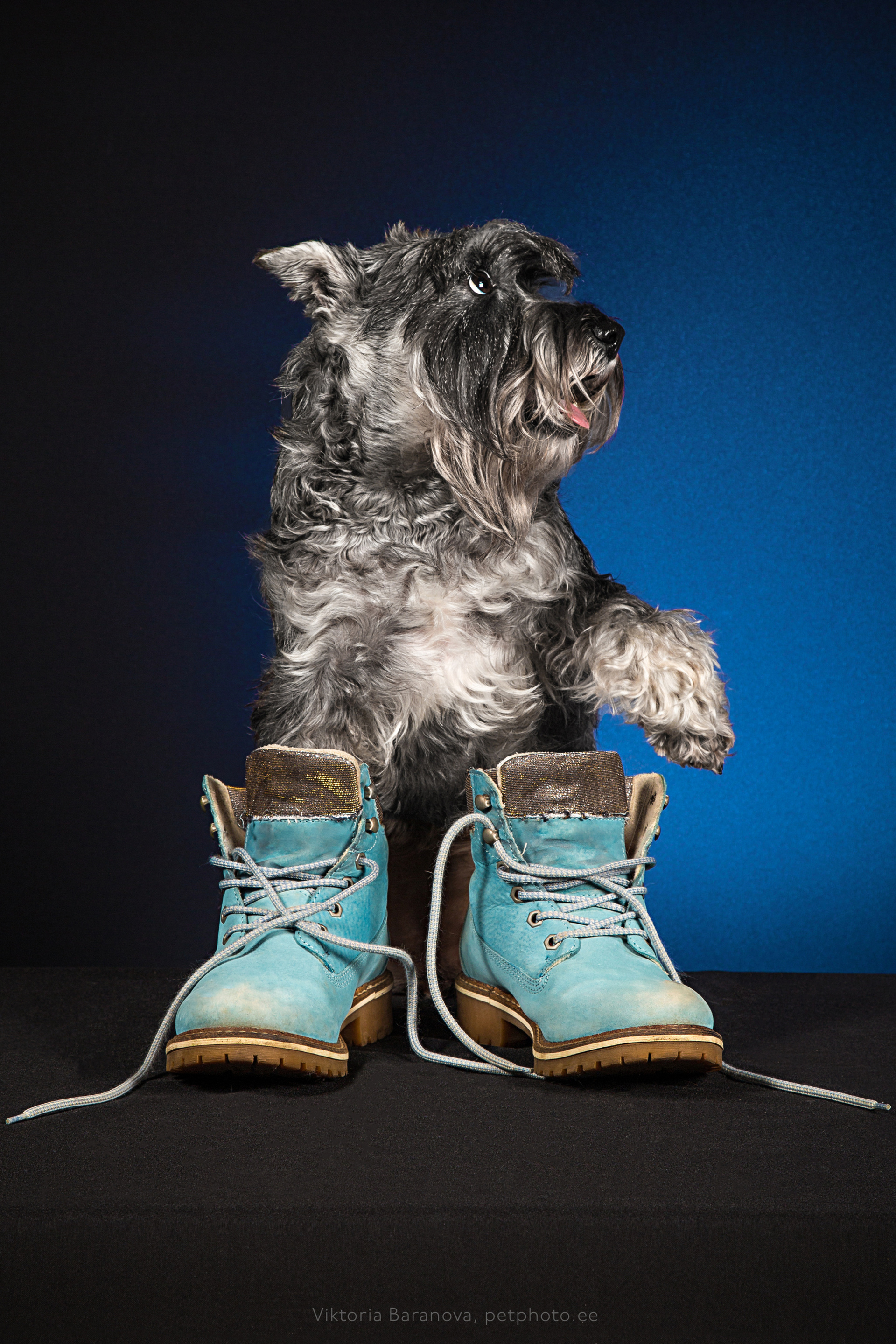 Jessy i Laiza (7 фото)