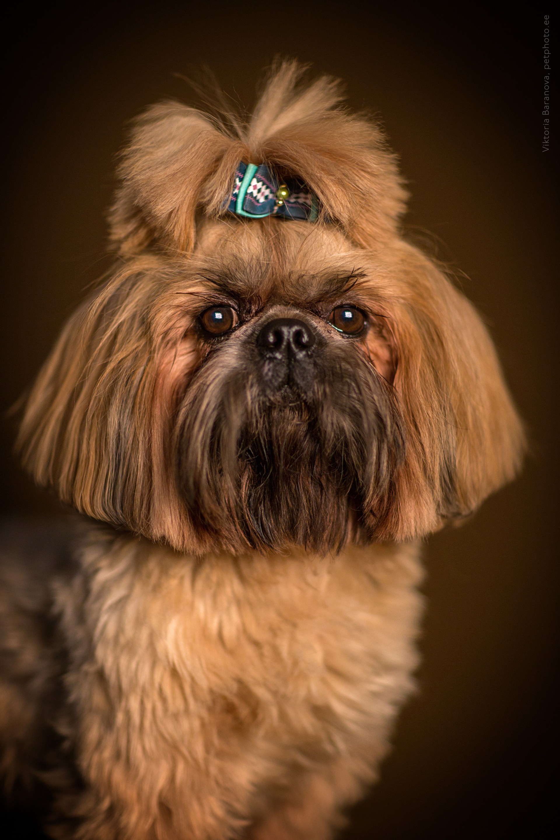 Ponchik and Chak (8 фото)