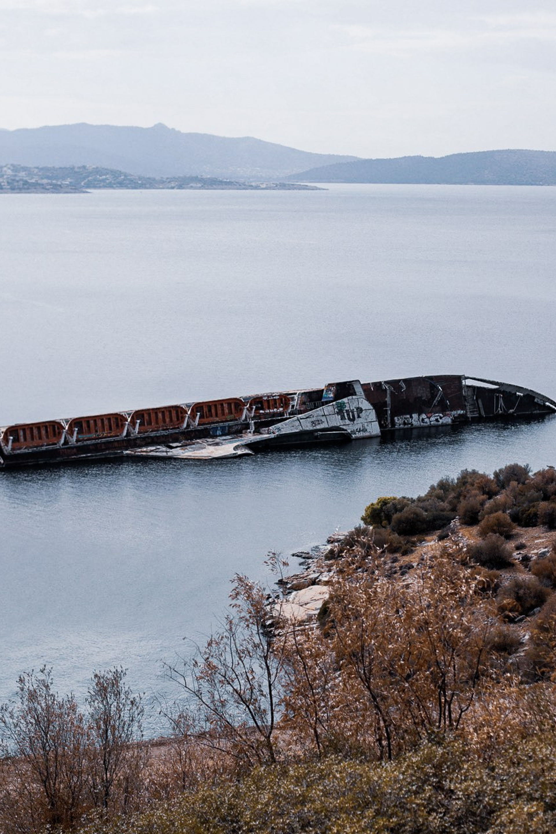 Olive deconstruction. Outdoor and art photographer. Alisa Lutchenkova