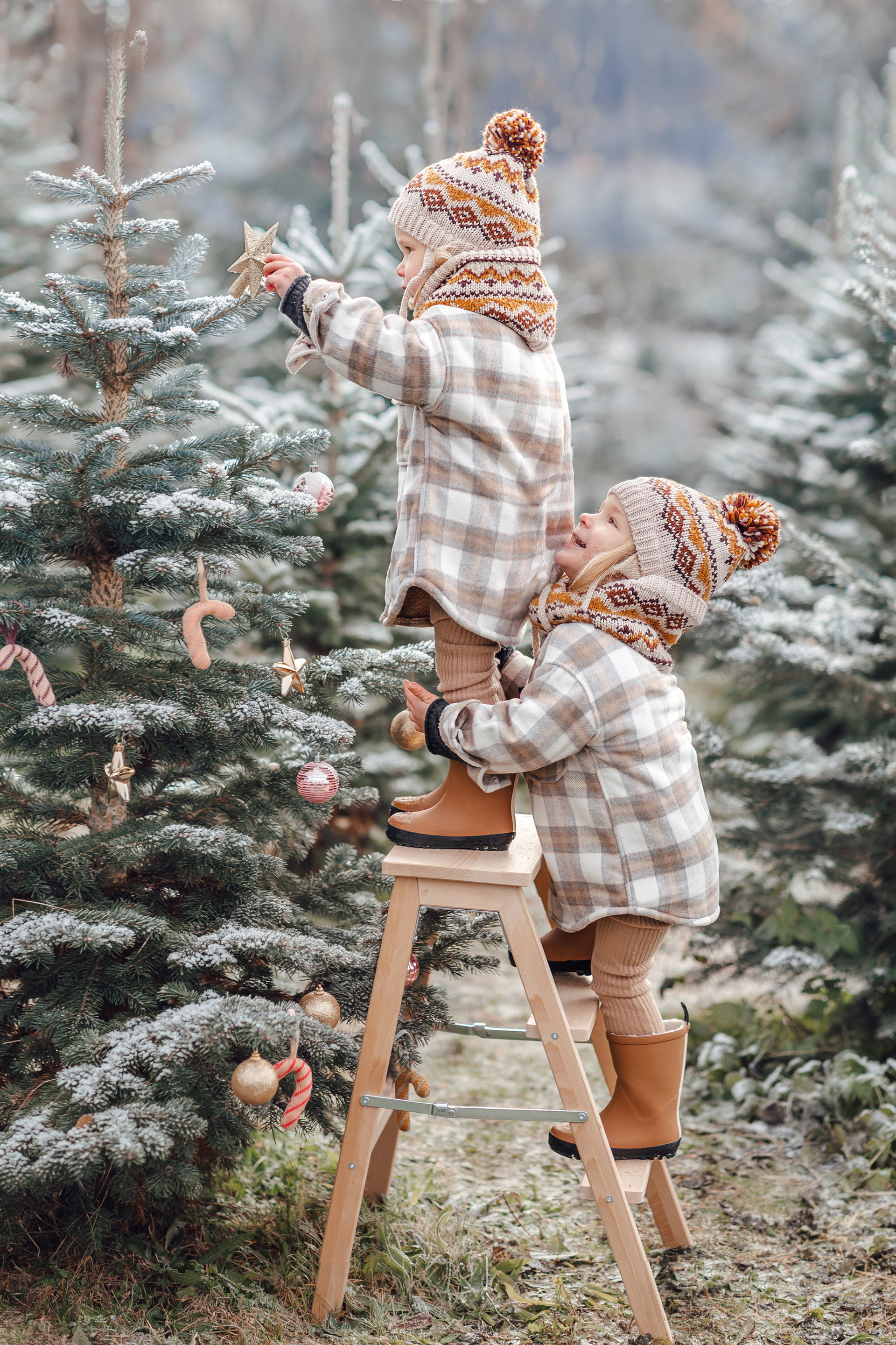 Lavendel dreams. Фотограф в Мюнхене Анастасия Воробцова