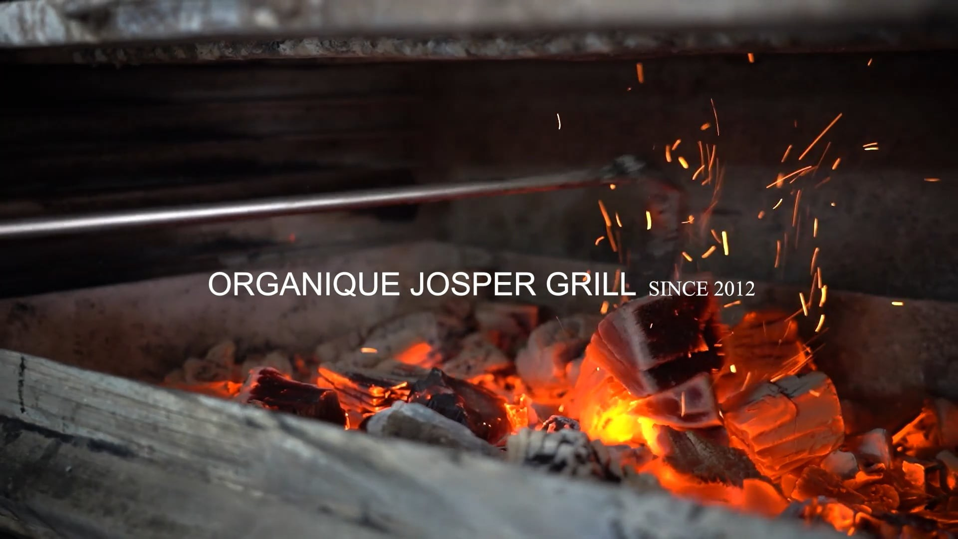 Video. Photographer in Tbilisi