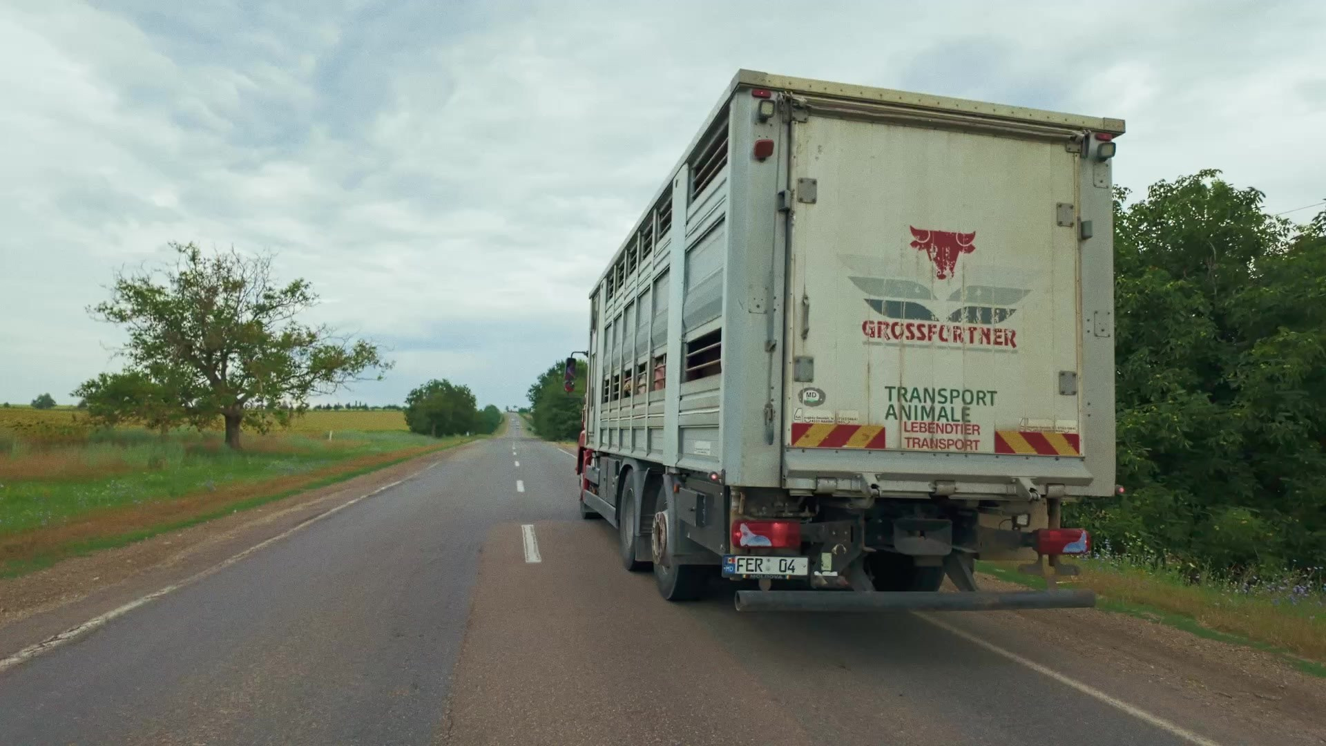 Promo. Zauglom — креативная продакшн-компания полного цикла