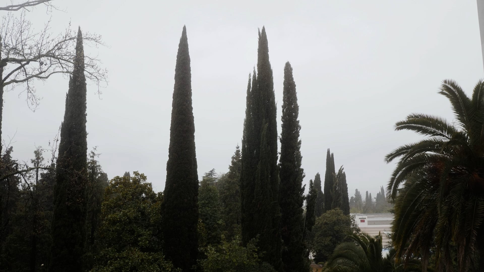 Abigail and Michael. Wedding in Miami, FL. Wedding photographer and videographer New York | New Jersey