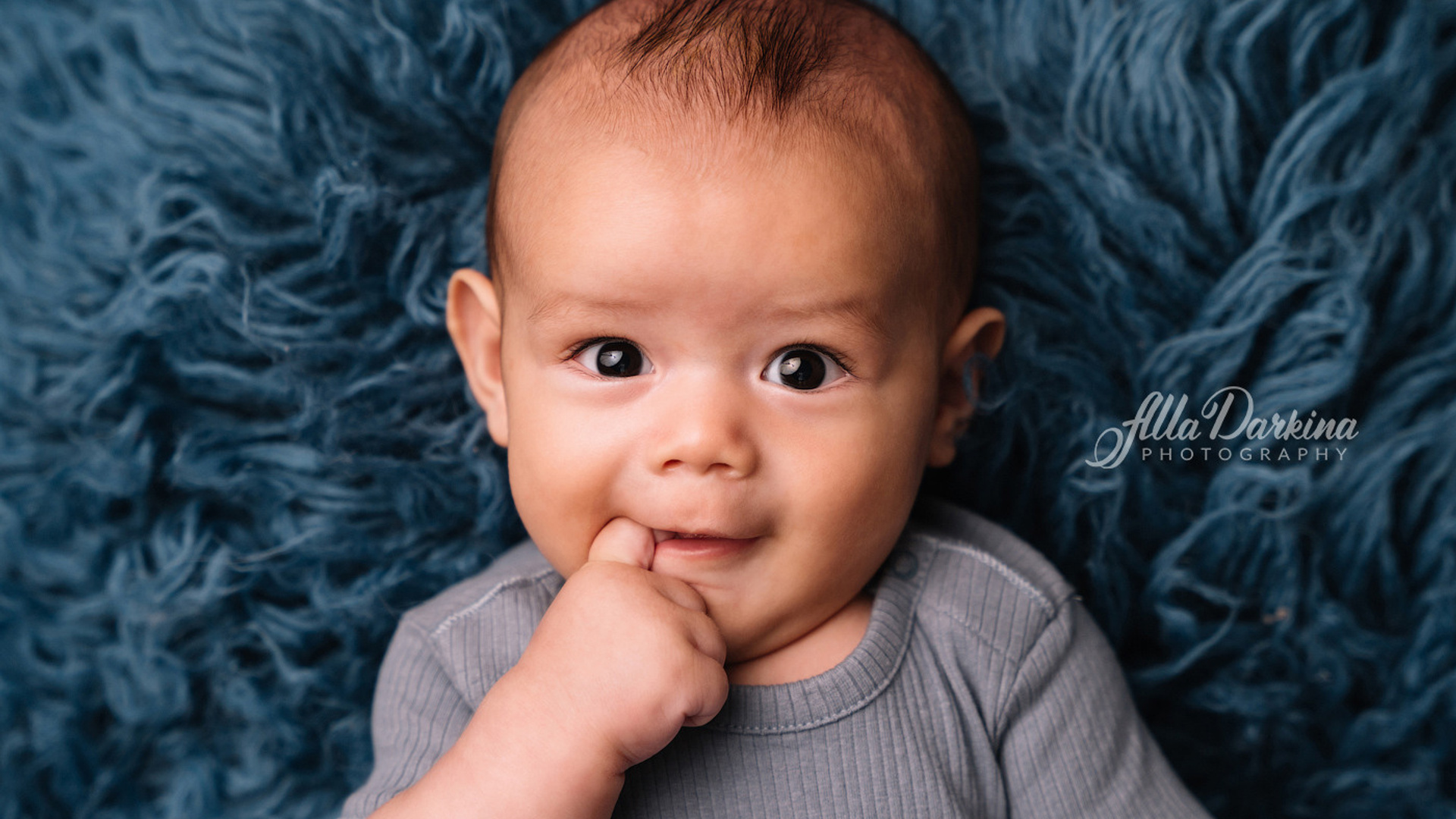 Christmas mini sessions 2020| Sydney. Newborn and family photographer. Hills District. Sydney