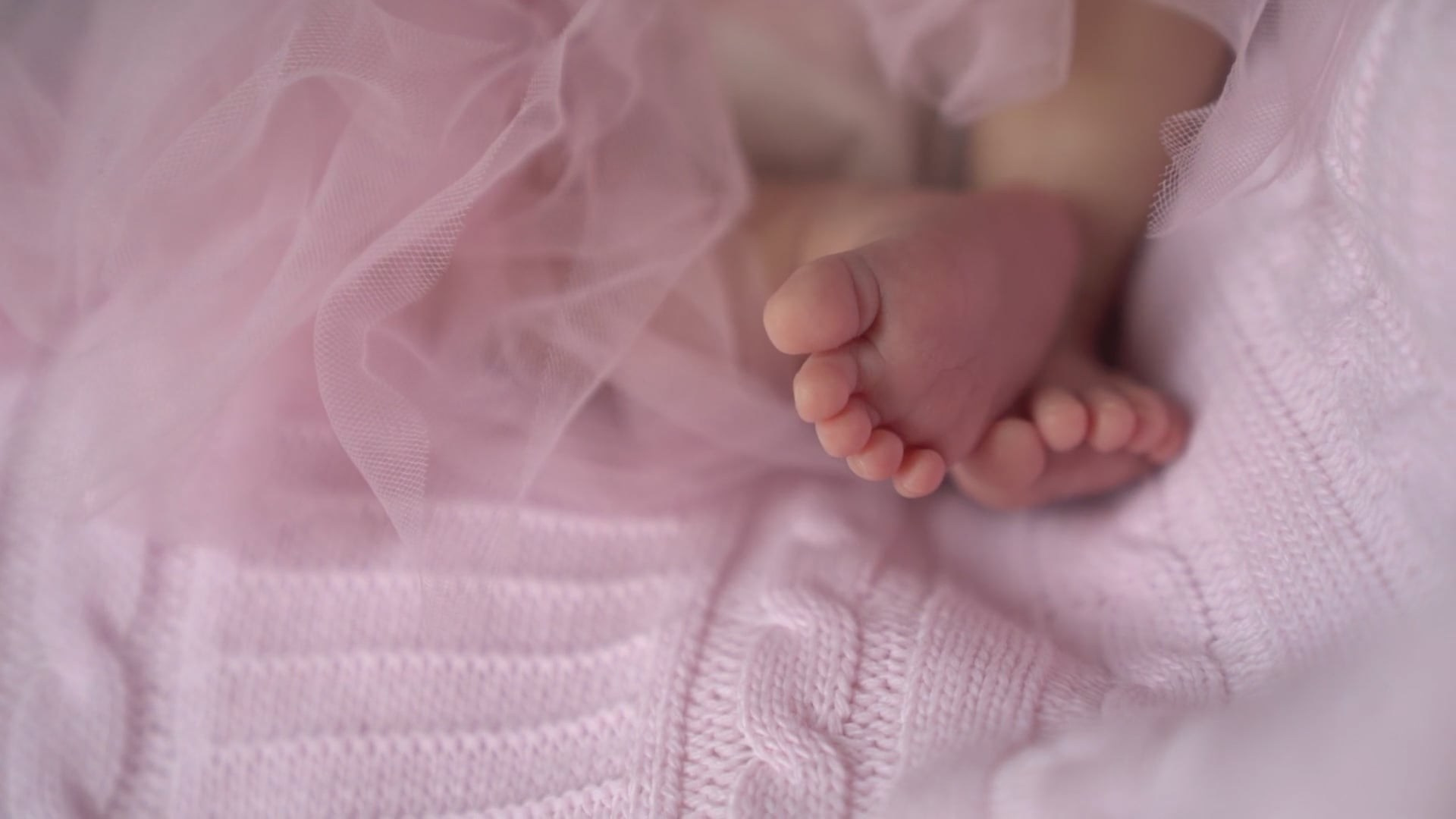 Family video. Wedding and family photographer Ireland