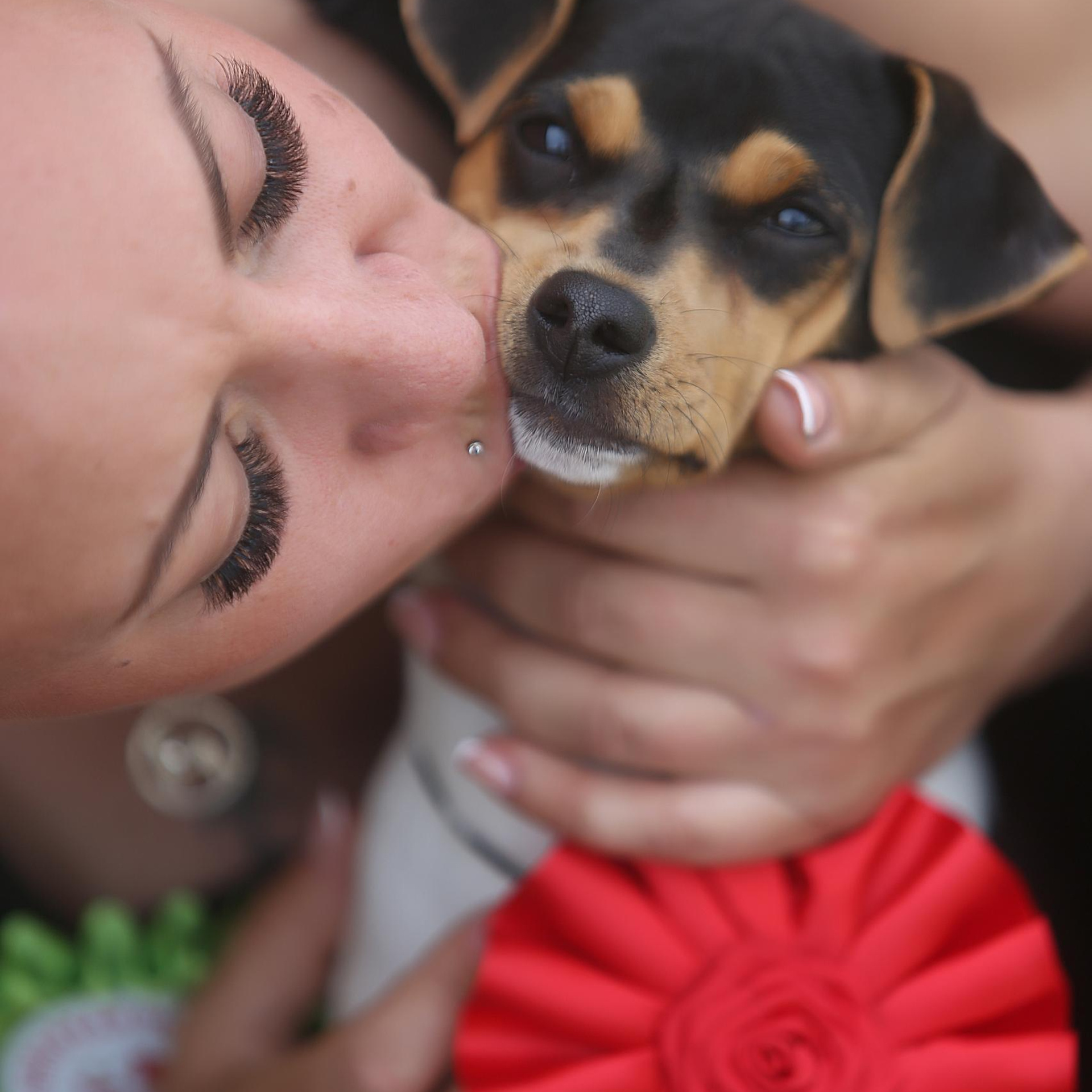 Reviews. Pets and people photographer Kateryna Mumzhynska