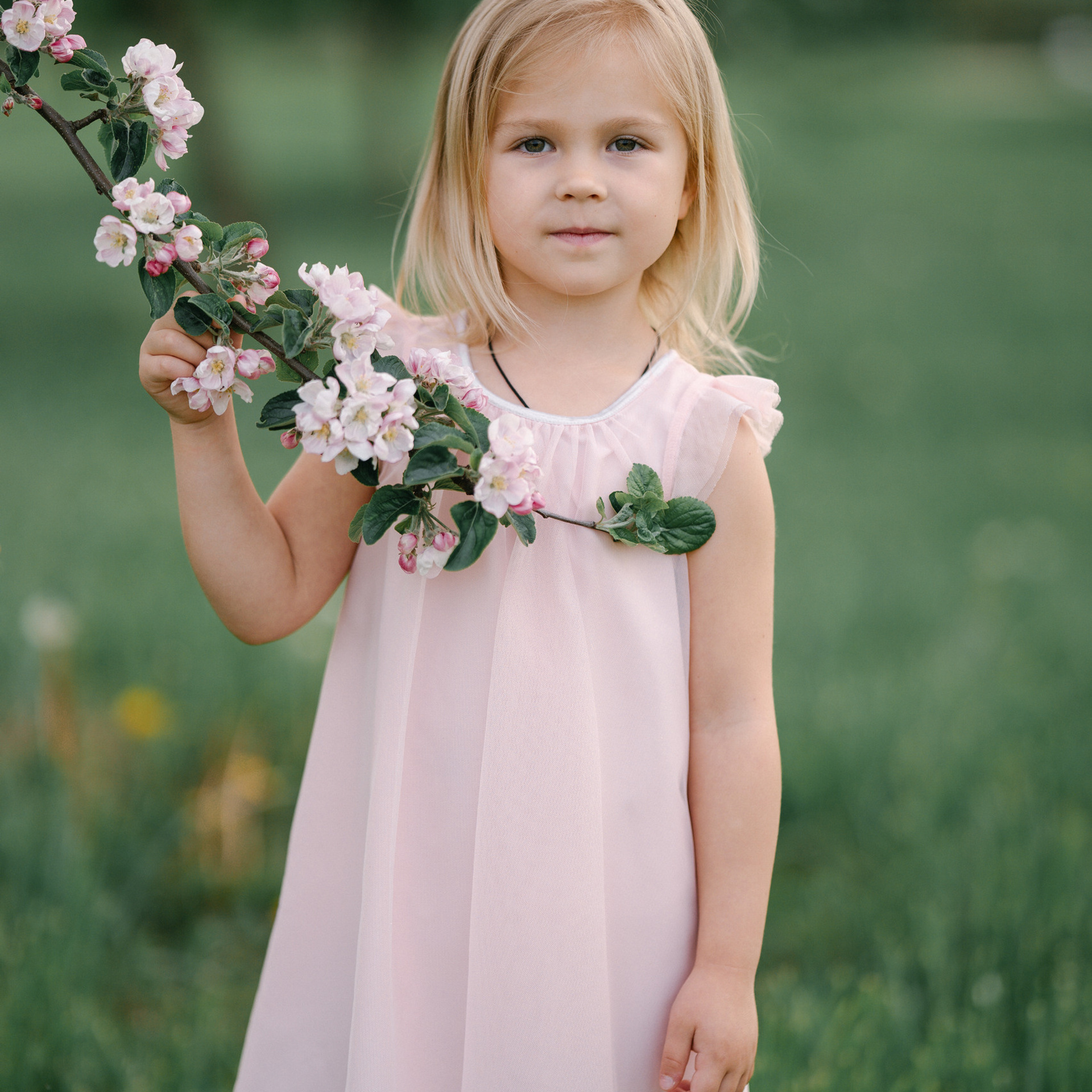 Reviews. Photographer