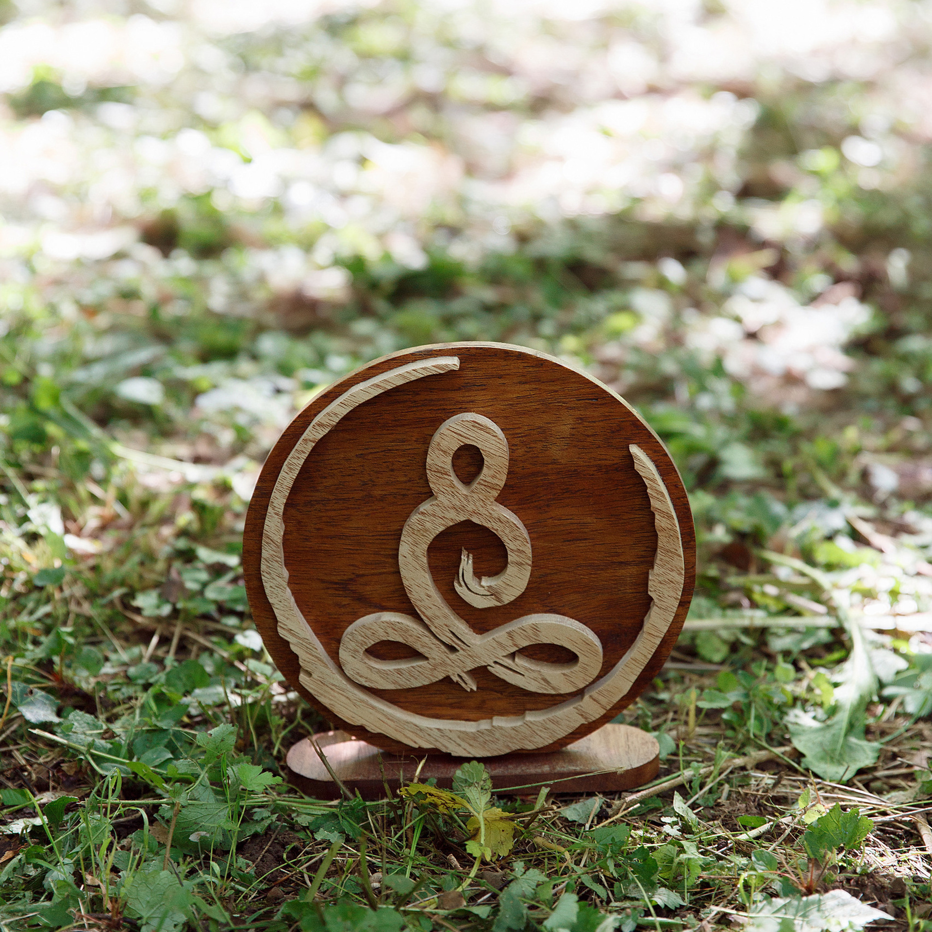 VOS AVIS. Photographe professionelle spécialisée dans la photographie de grosses