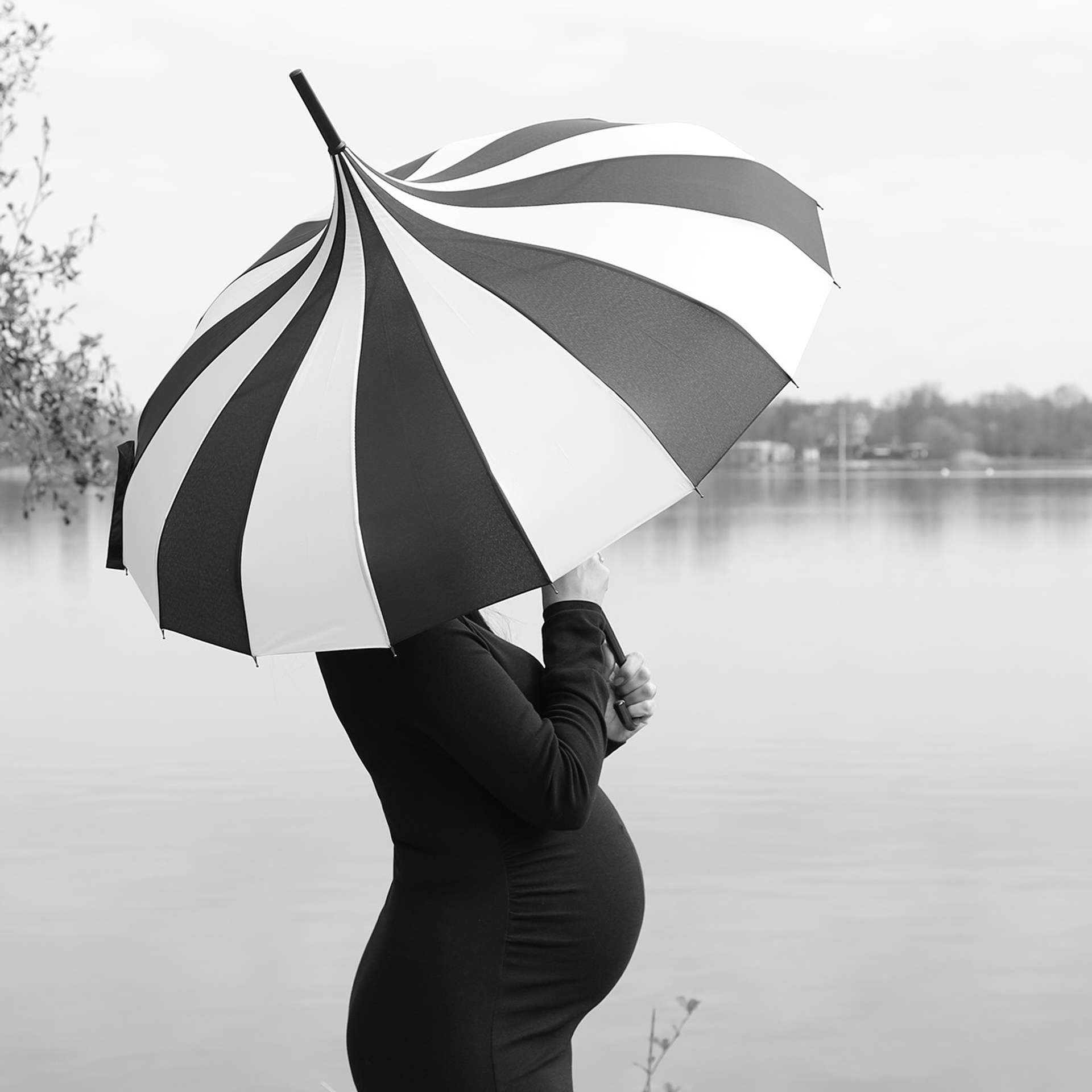 Silence of Creation